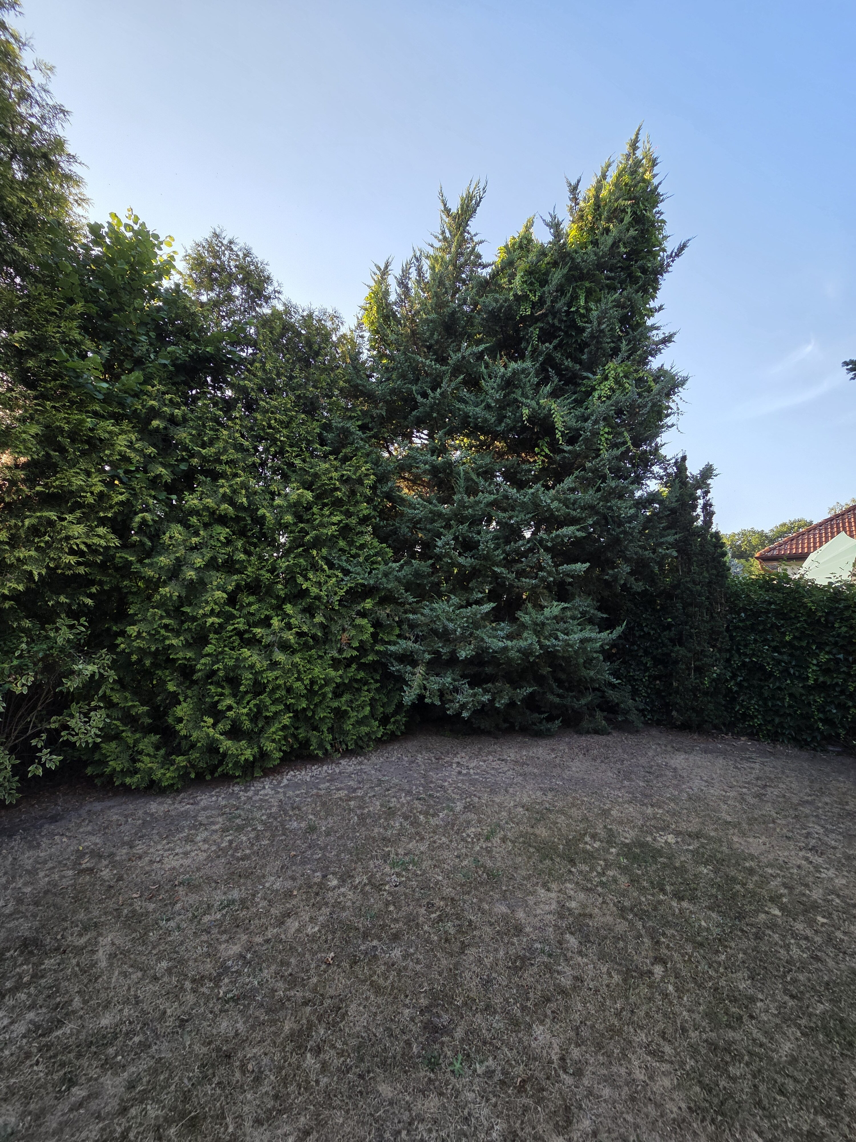 Galaxy S25 Plus denni fotka 48