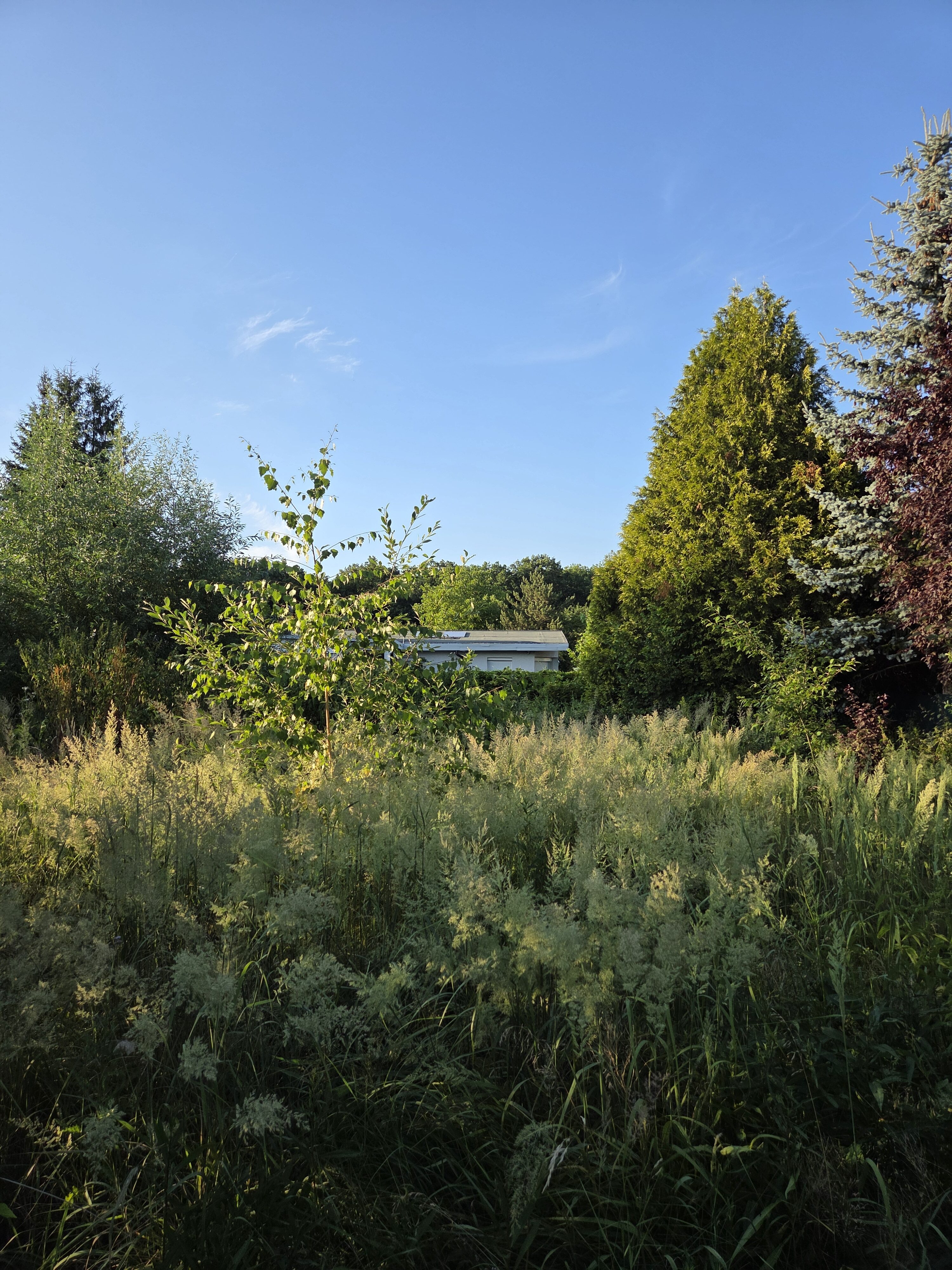 Galaxy S25 Plus denni fotka 49