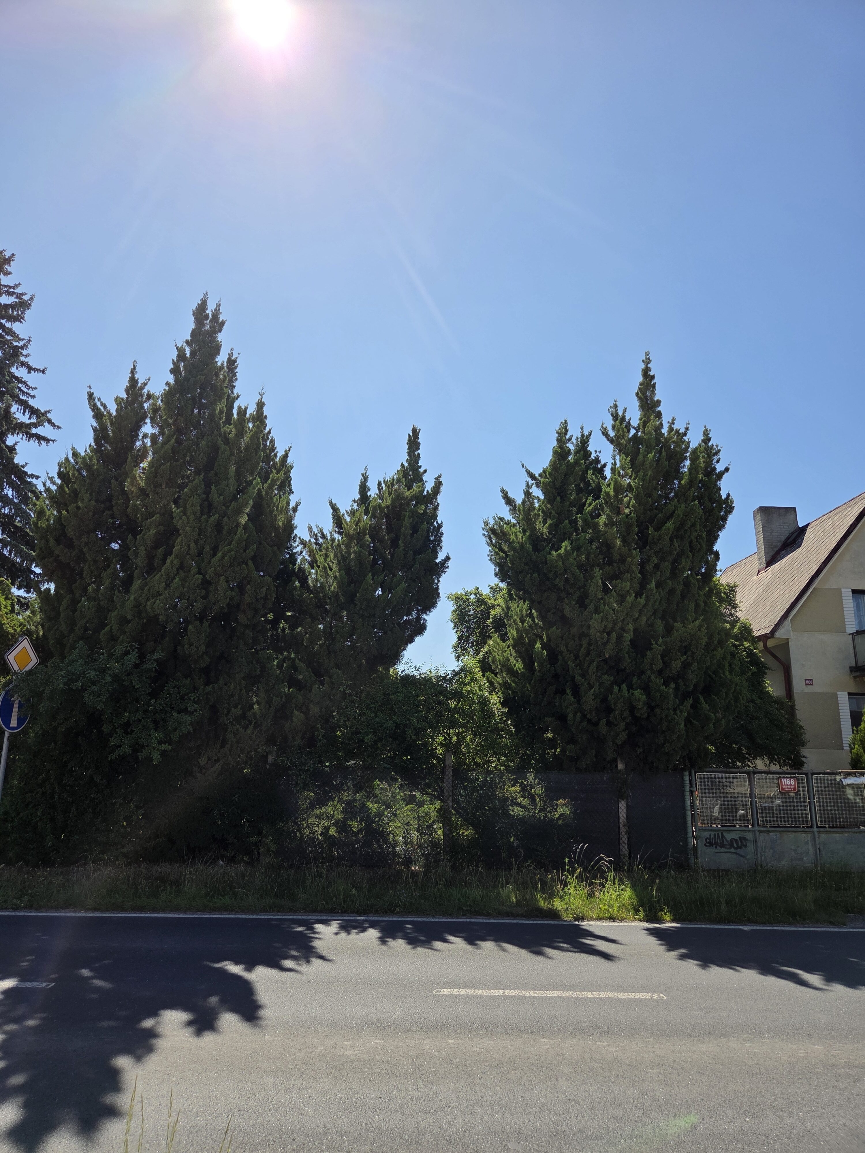 Galaxy S25 Plus denni fotka 8