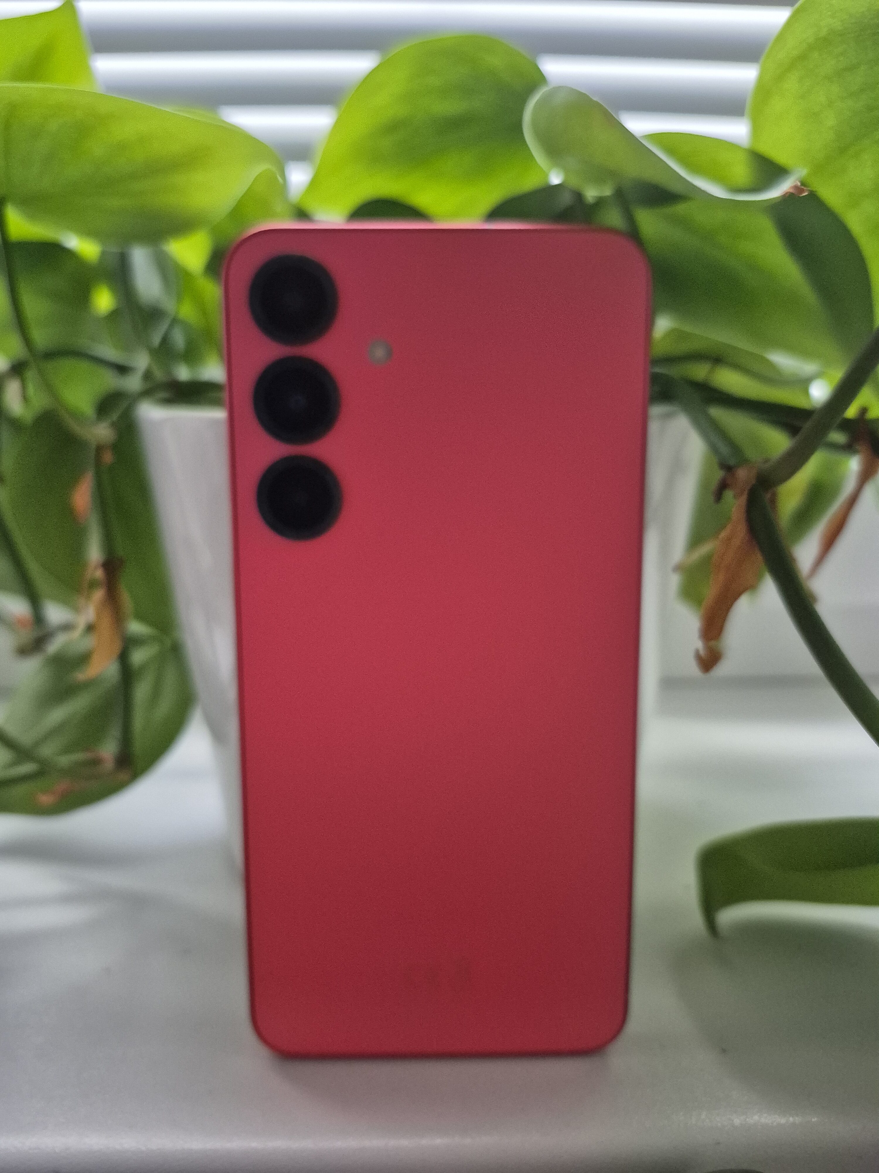 Galaxy S25 Plus foto 20