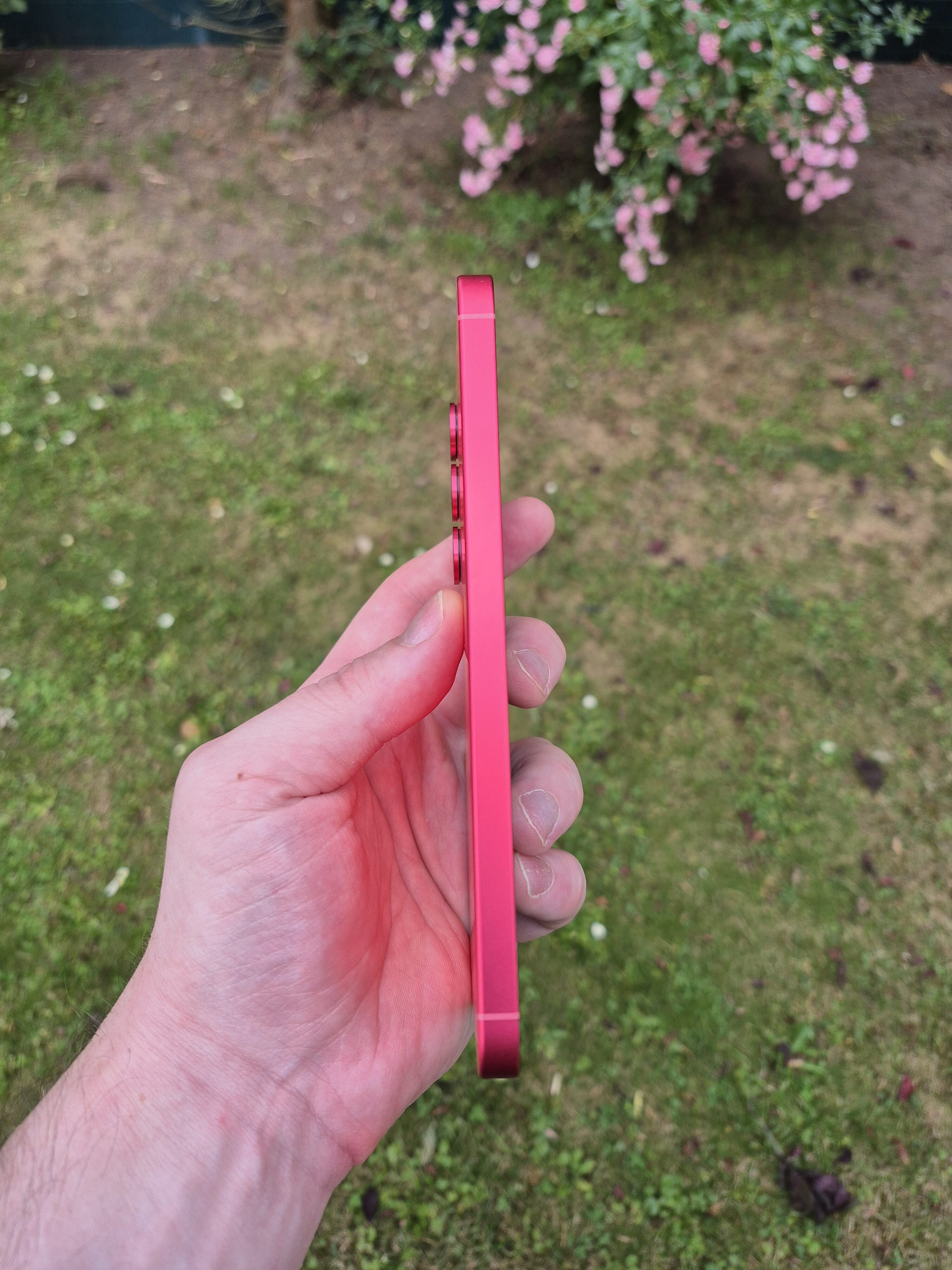 Galaxy S25 Plus foto 7