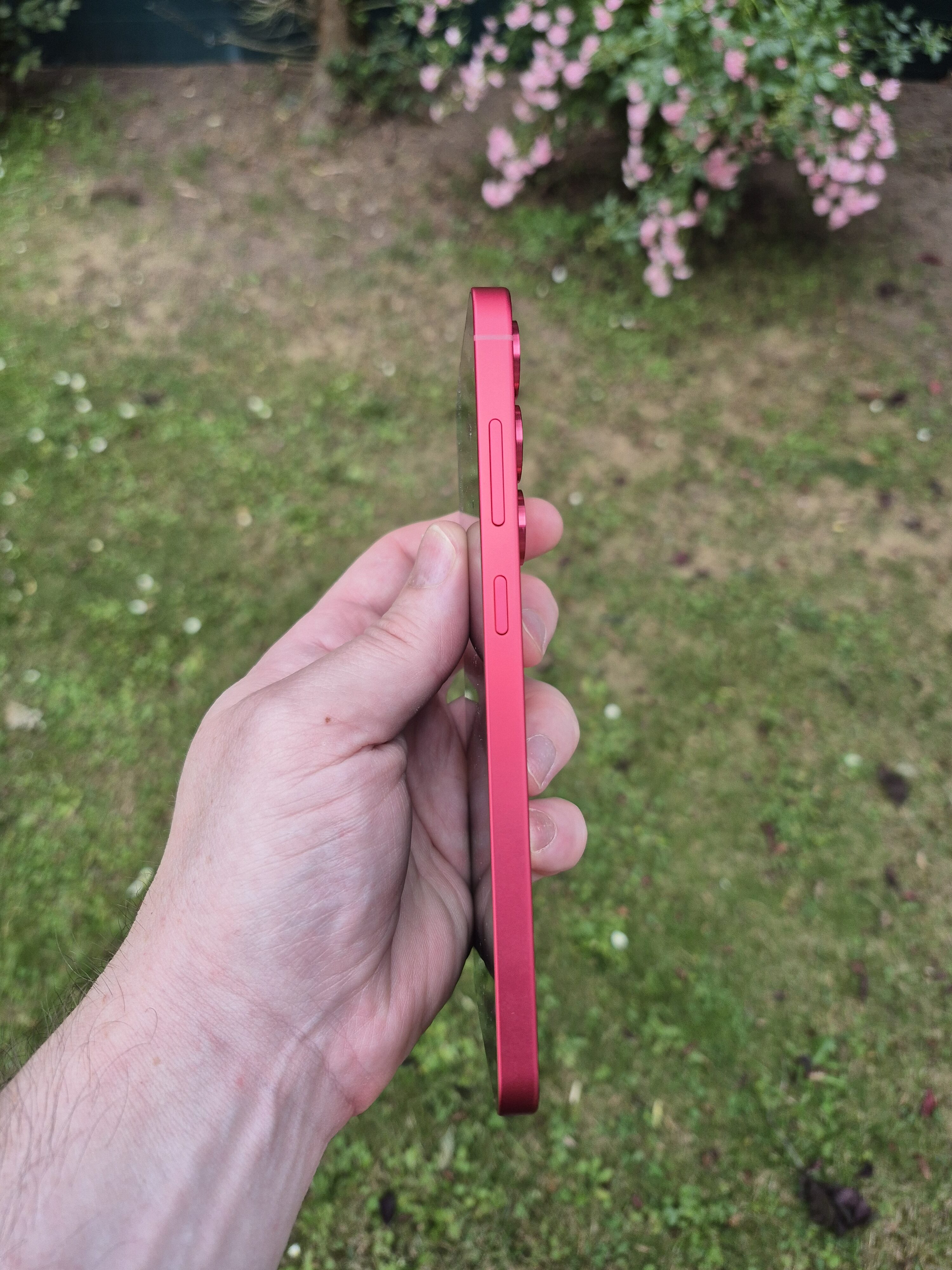 Galaxy S25 Plus foto 8