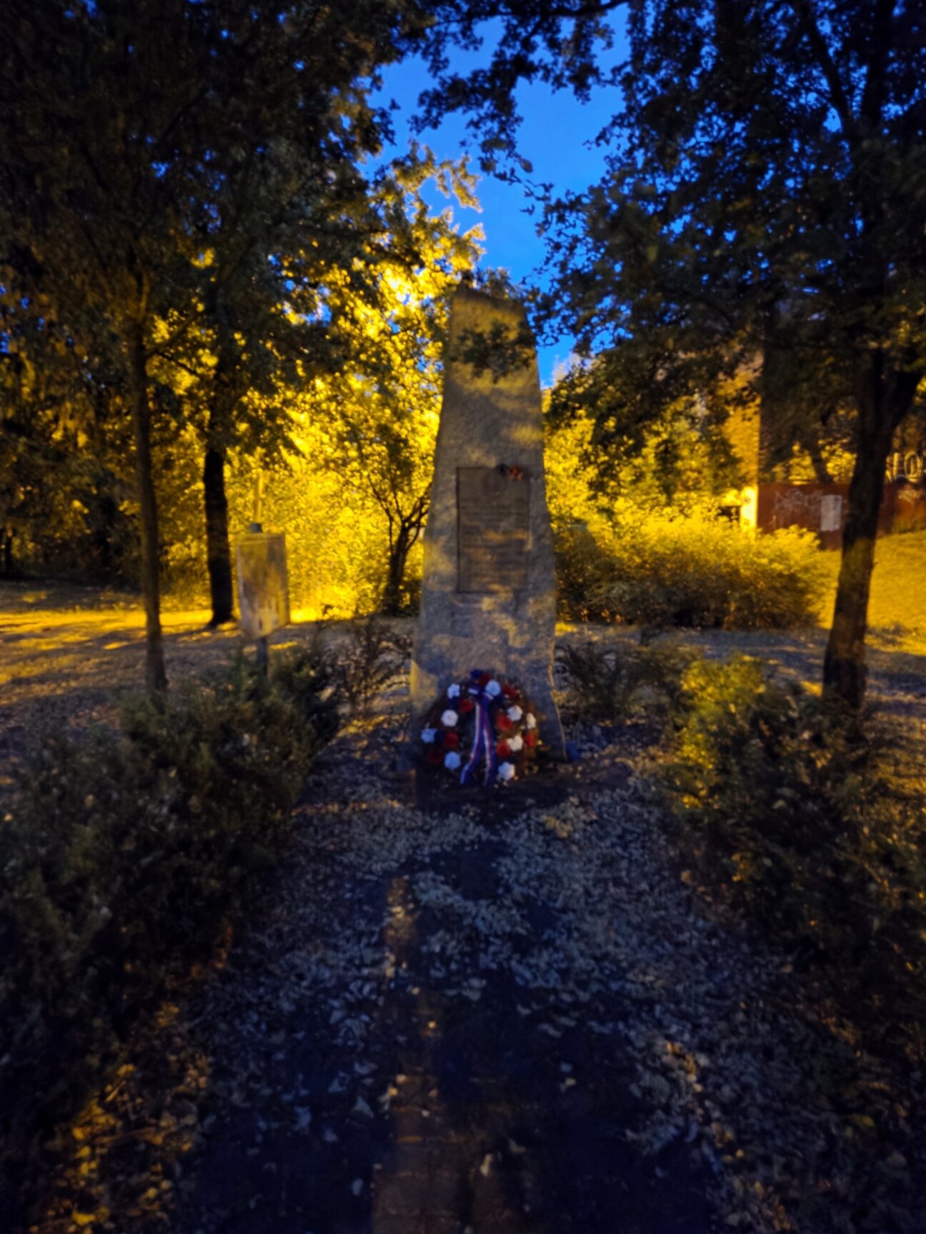 Galaxy S25 Plus nocni fotka 1