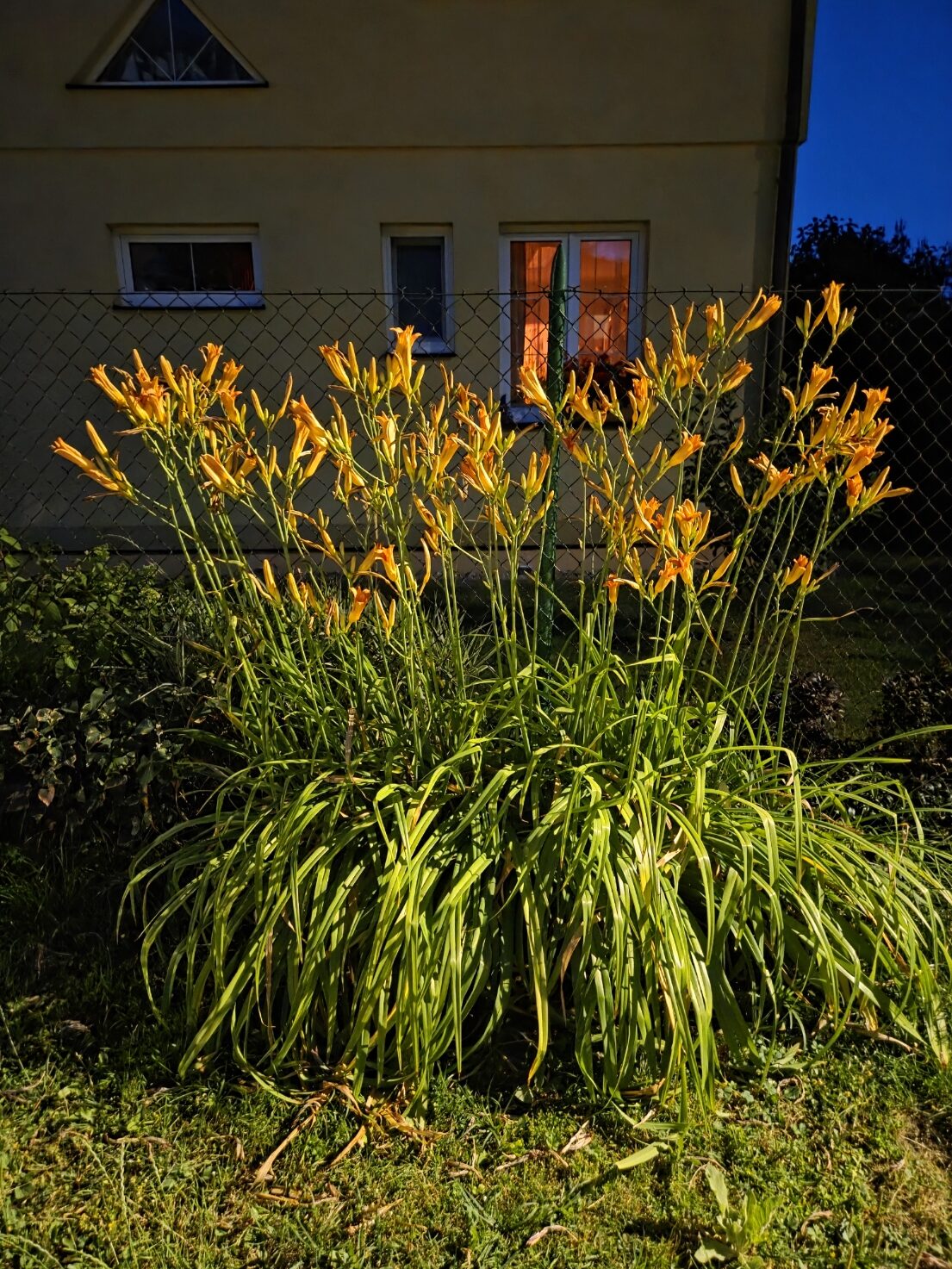 Galaxy S25 Plus nocni fotka 10