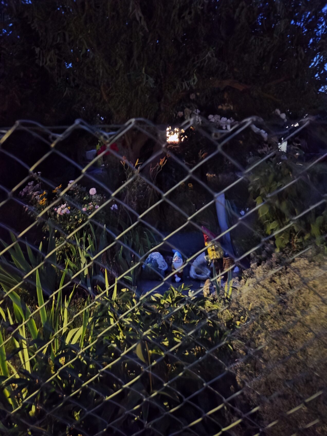 Galaxy S25 Plus nocni fotka 12