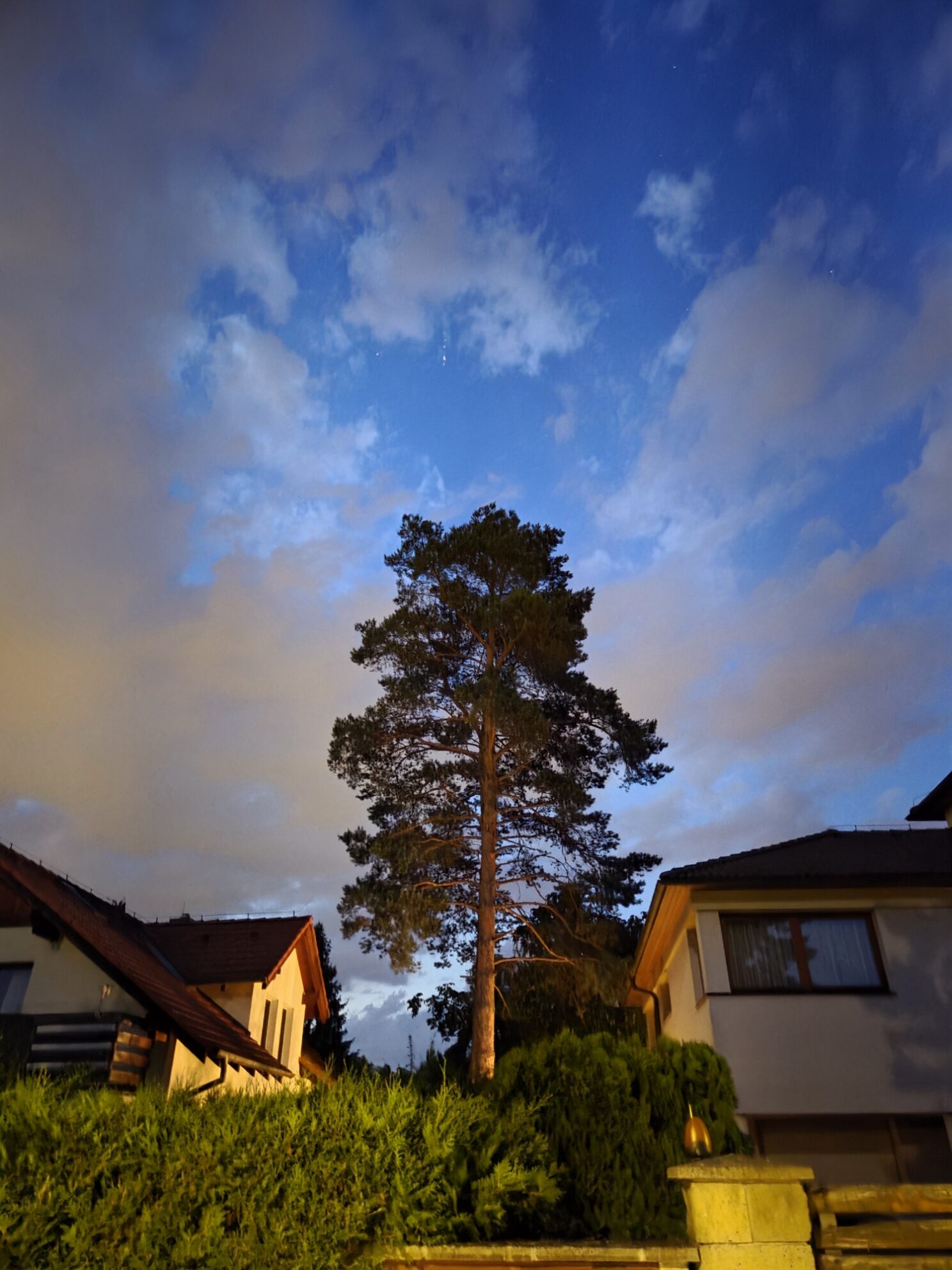 Galaxy S25 Plus nocni fotka 17