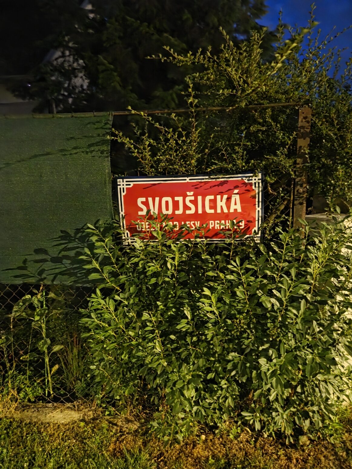 Galaxy S25 Plus nocni fotka 18