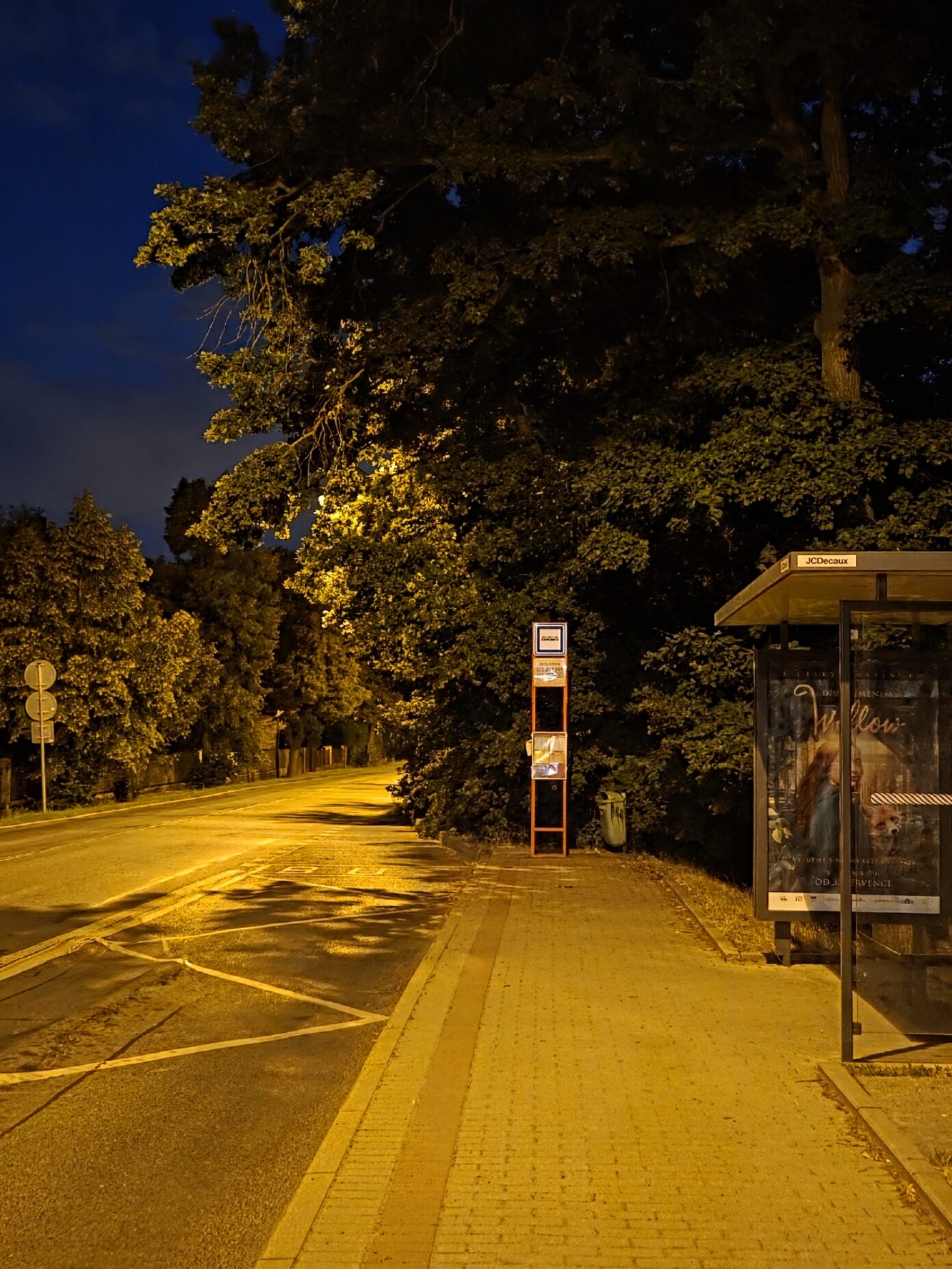 Galaxy S25 Plus nocni fotka 23