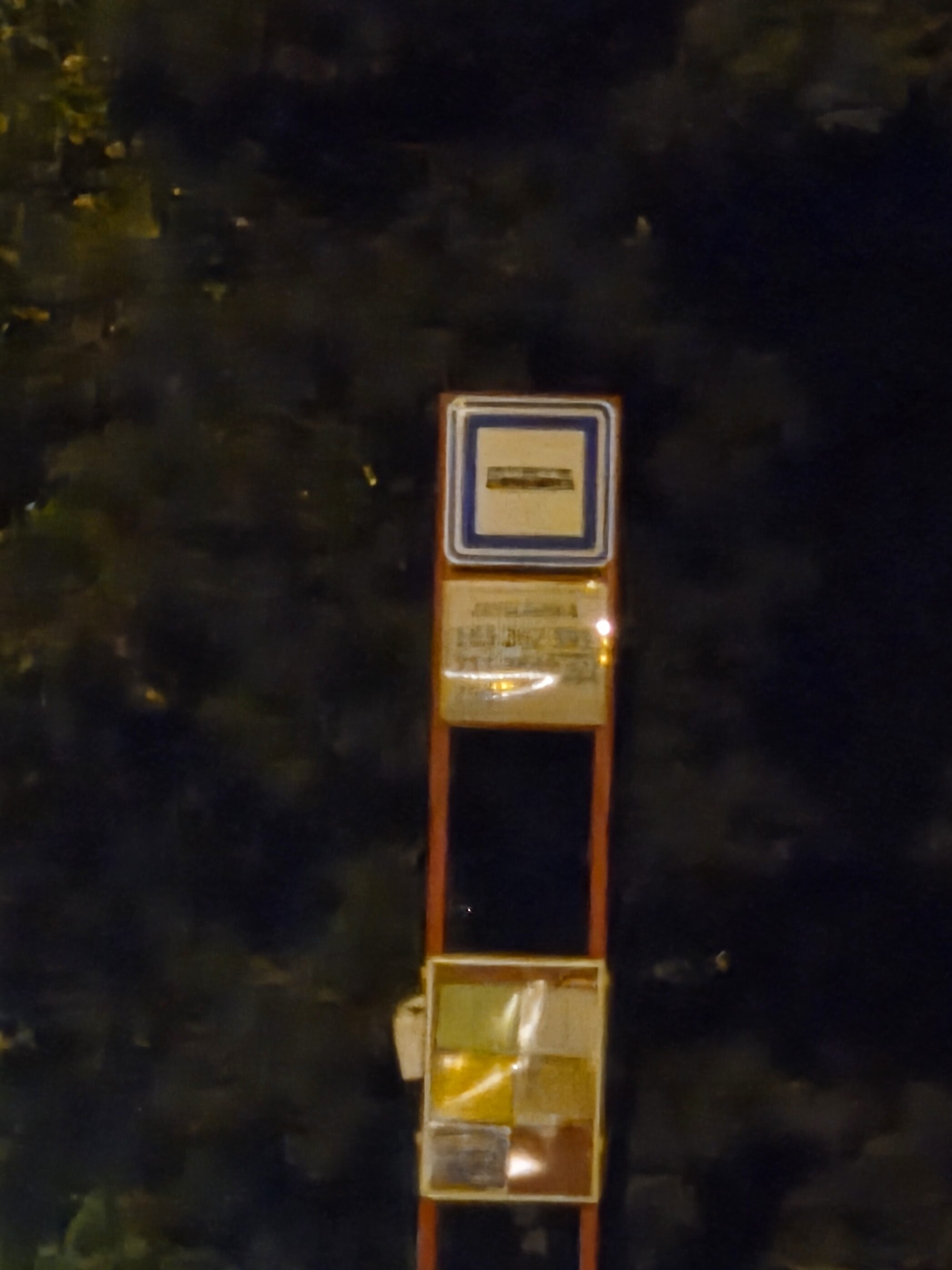 Galaxy S25 Plus nocni fotka 25