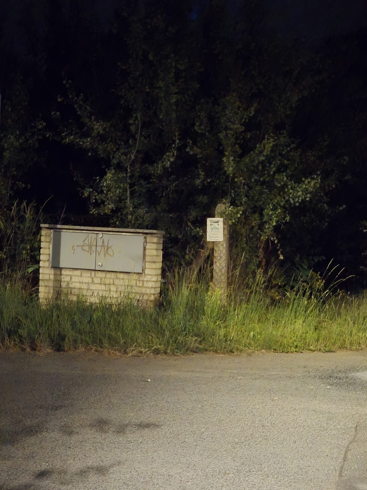 Galaxy S25 Plus nocni fotka 30