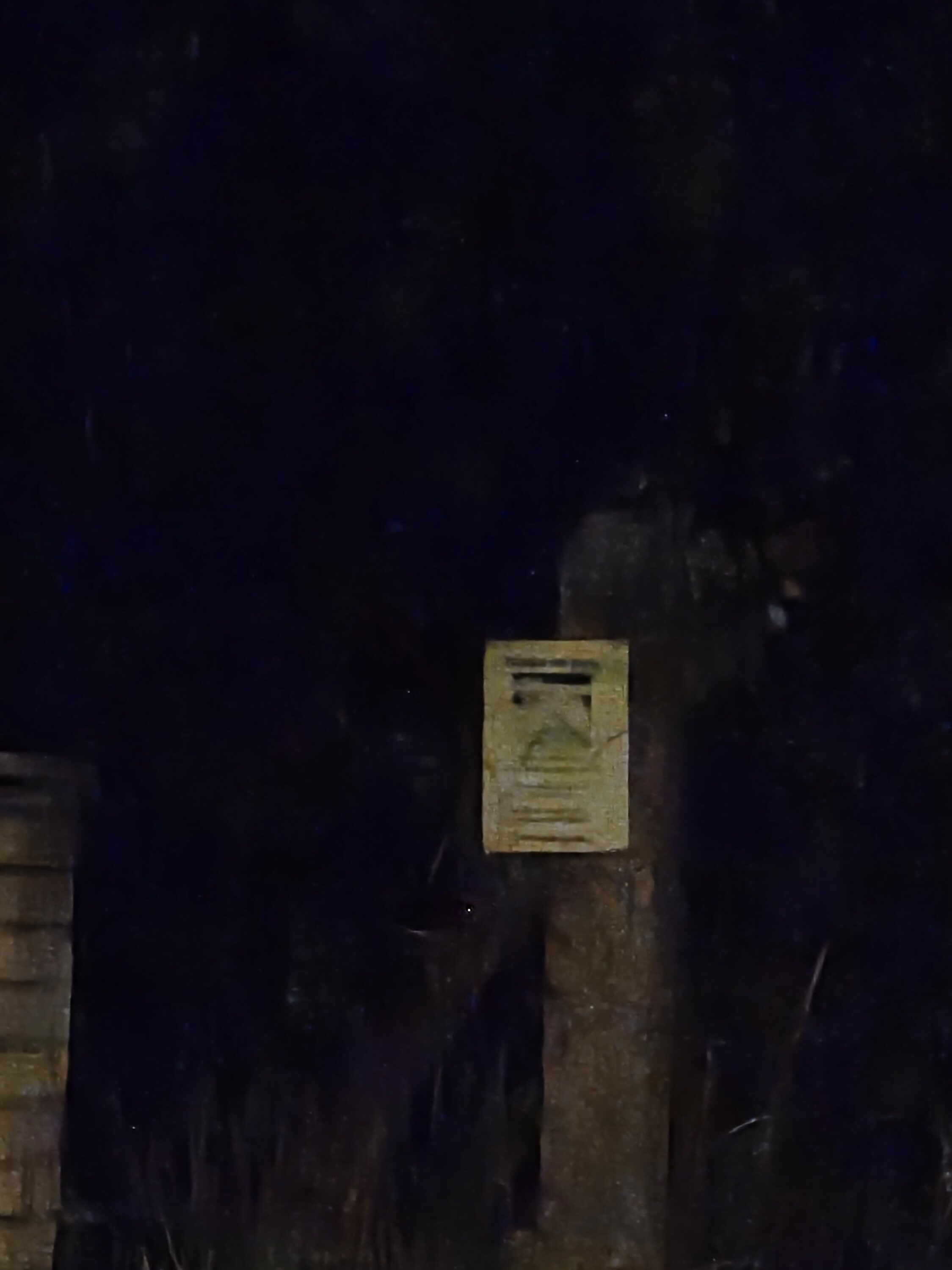 Galaxy S25 Plus nocni fotka 31