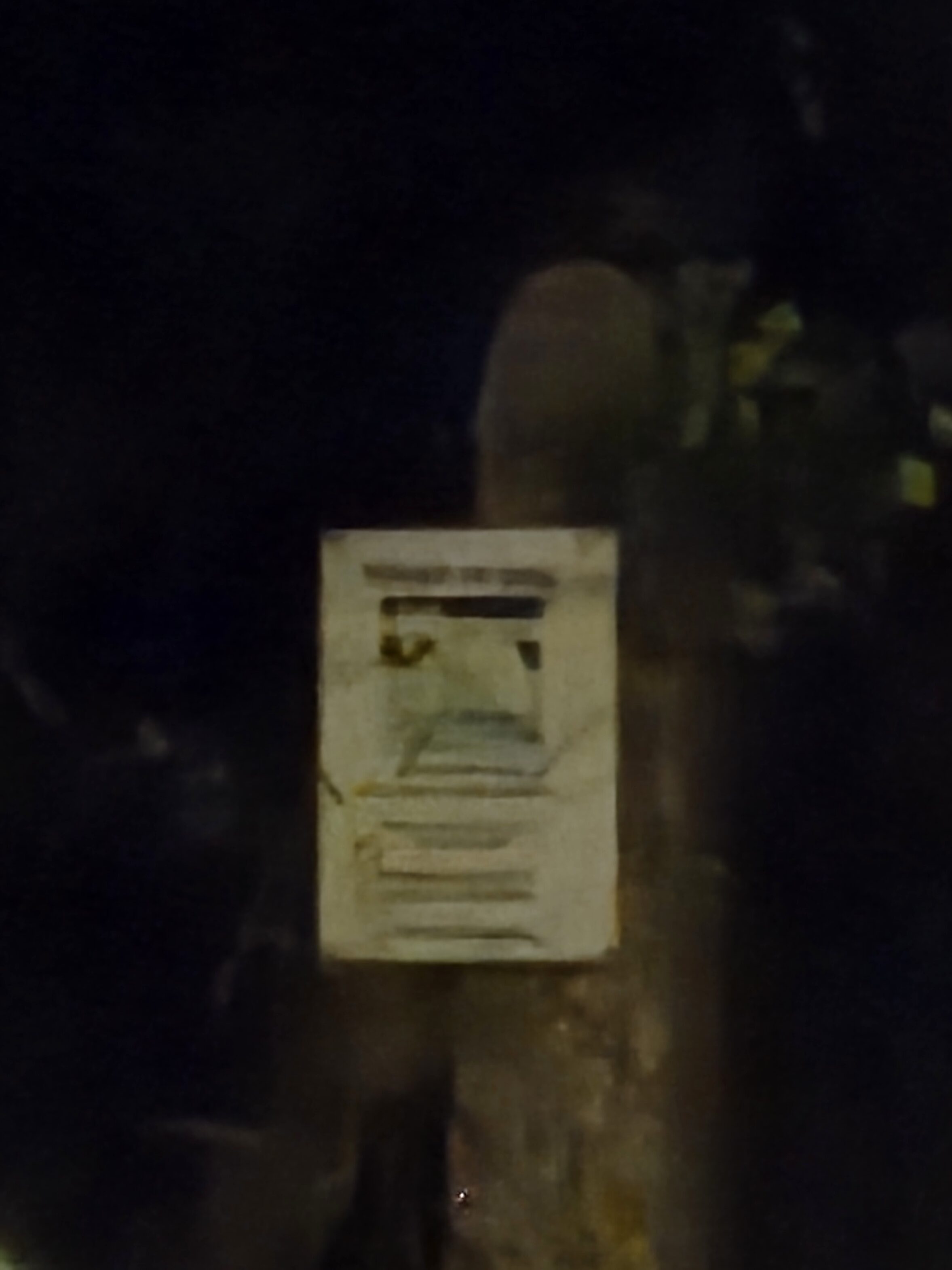 Galaxy S25 Plus nocni fotka 32