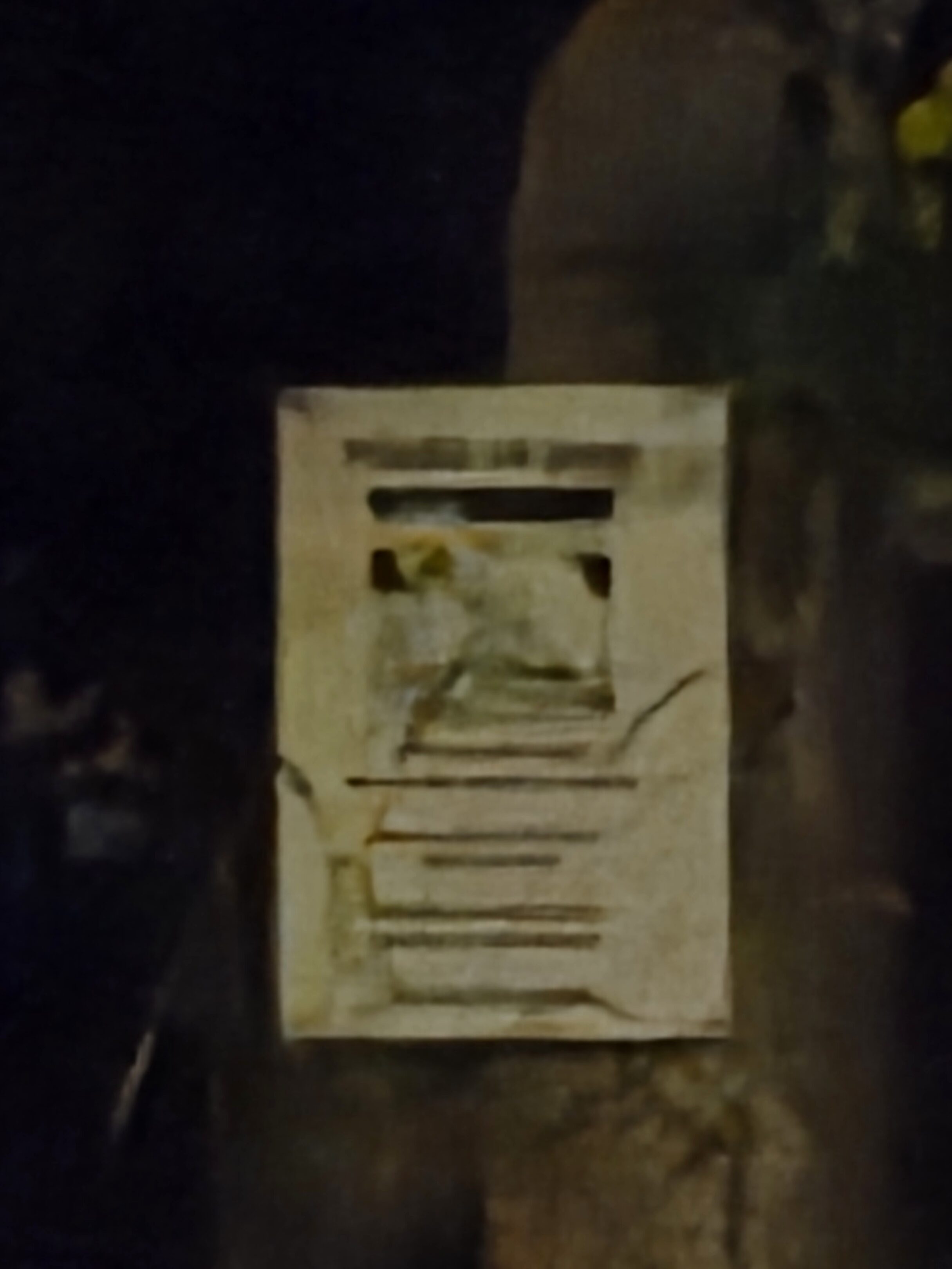 Galaxy S25 Plus nocni fotka 33