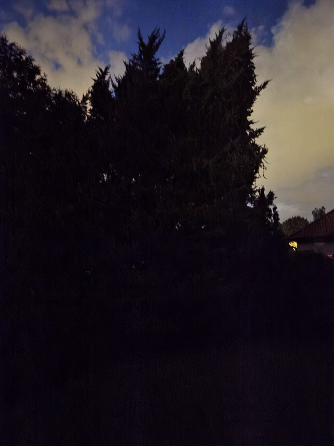 Galaxy S25 Plus nocni fotka 36