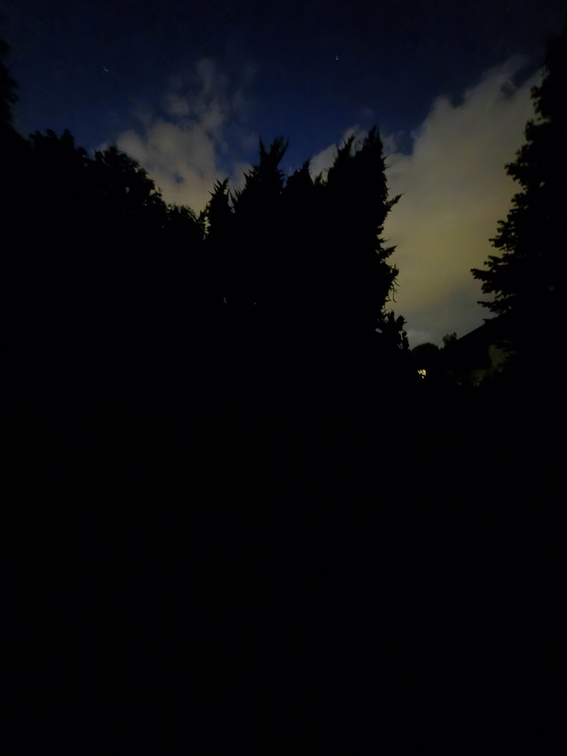 Galaxy S25 Plus nocni fotka 37