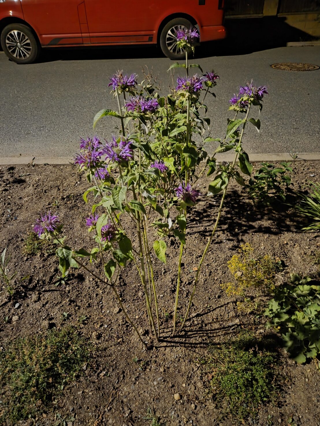 Galaxy S25 Plus nocni fotka 4