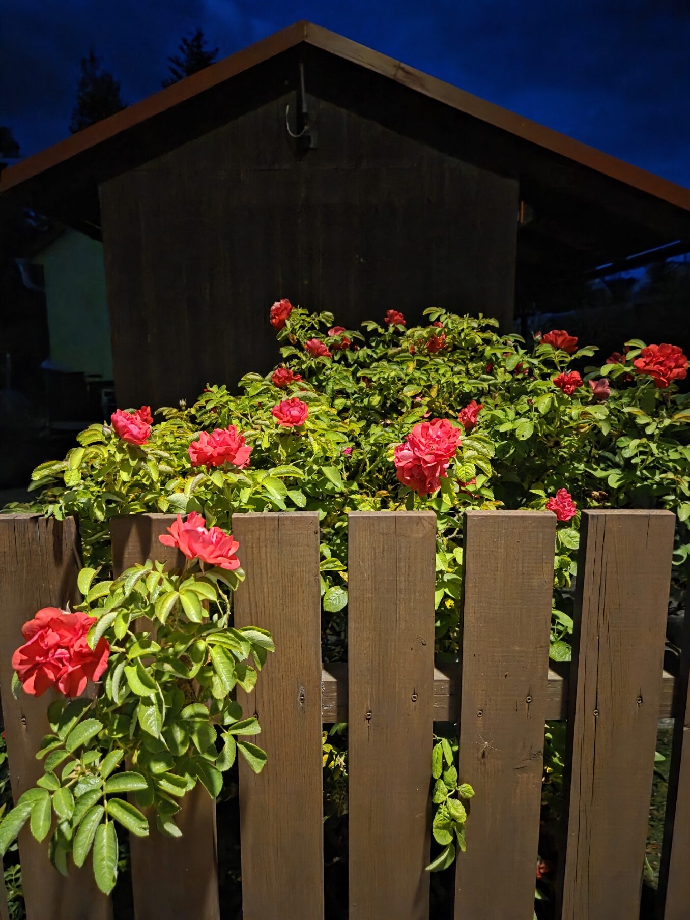 Galaxy S25 Plus nocni fotka 6