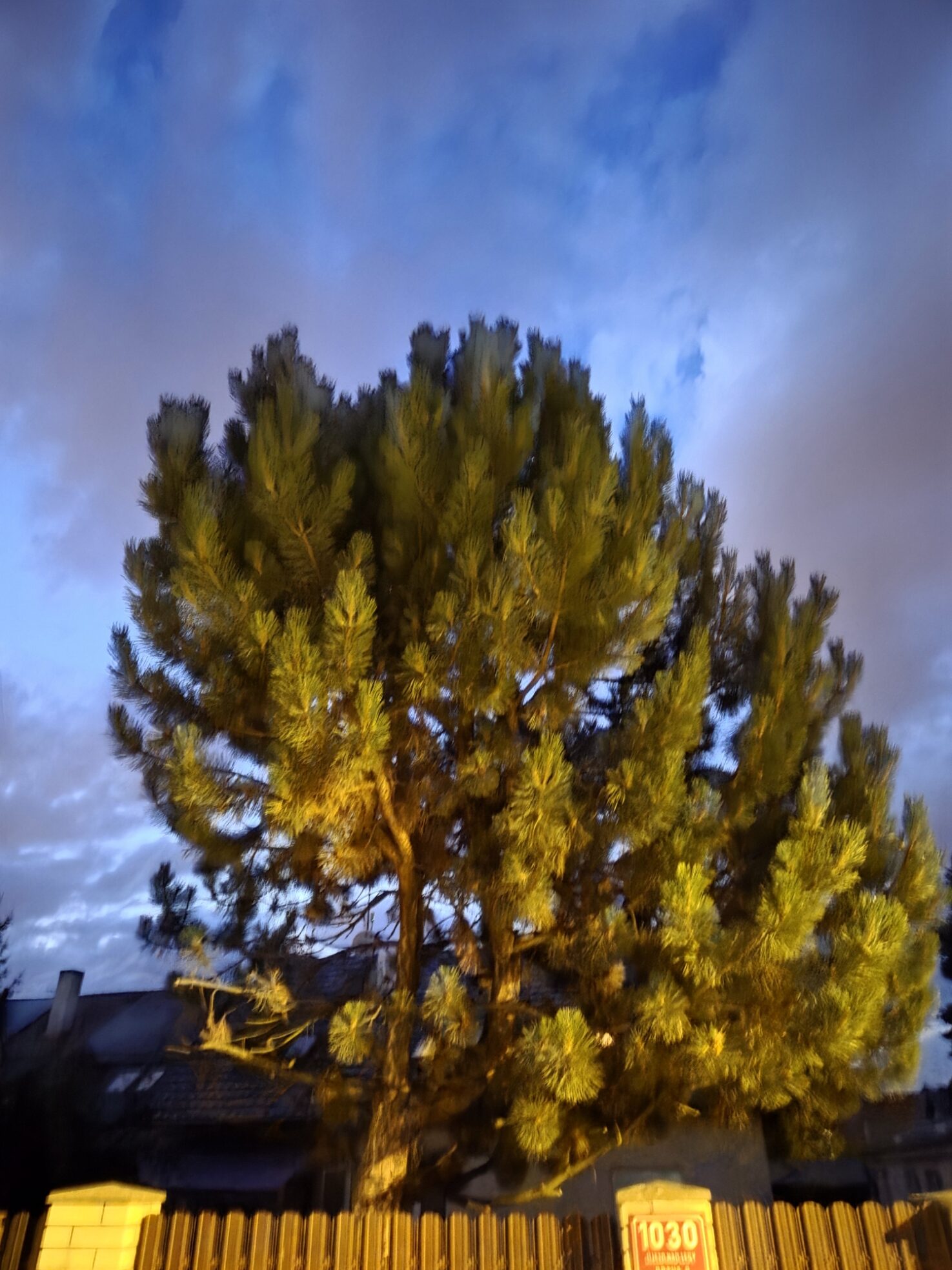 Galaxy S25 Plus nocni fotka 7