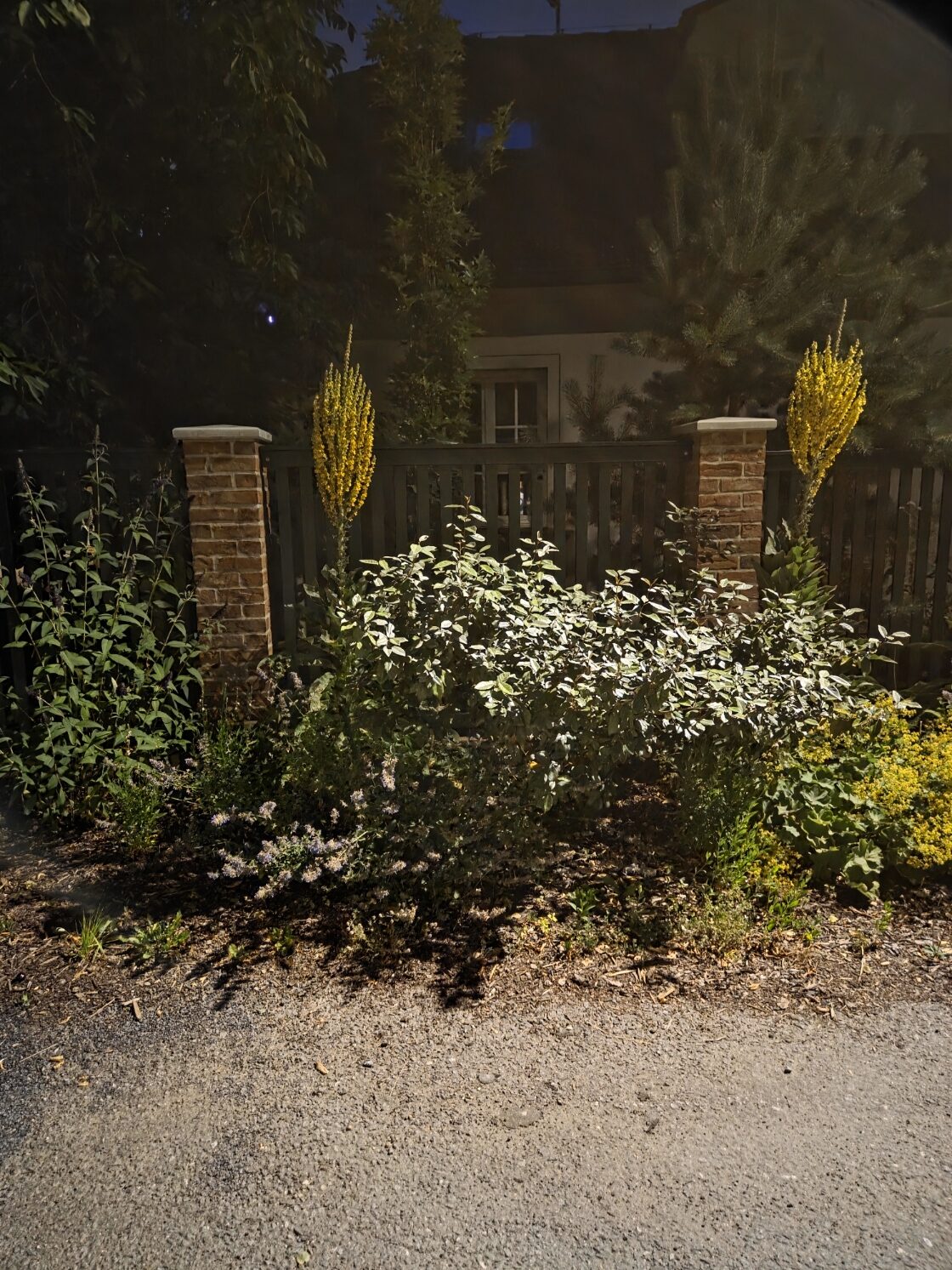 Galaxy S25 Plus nocni fotka 9