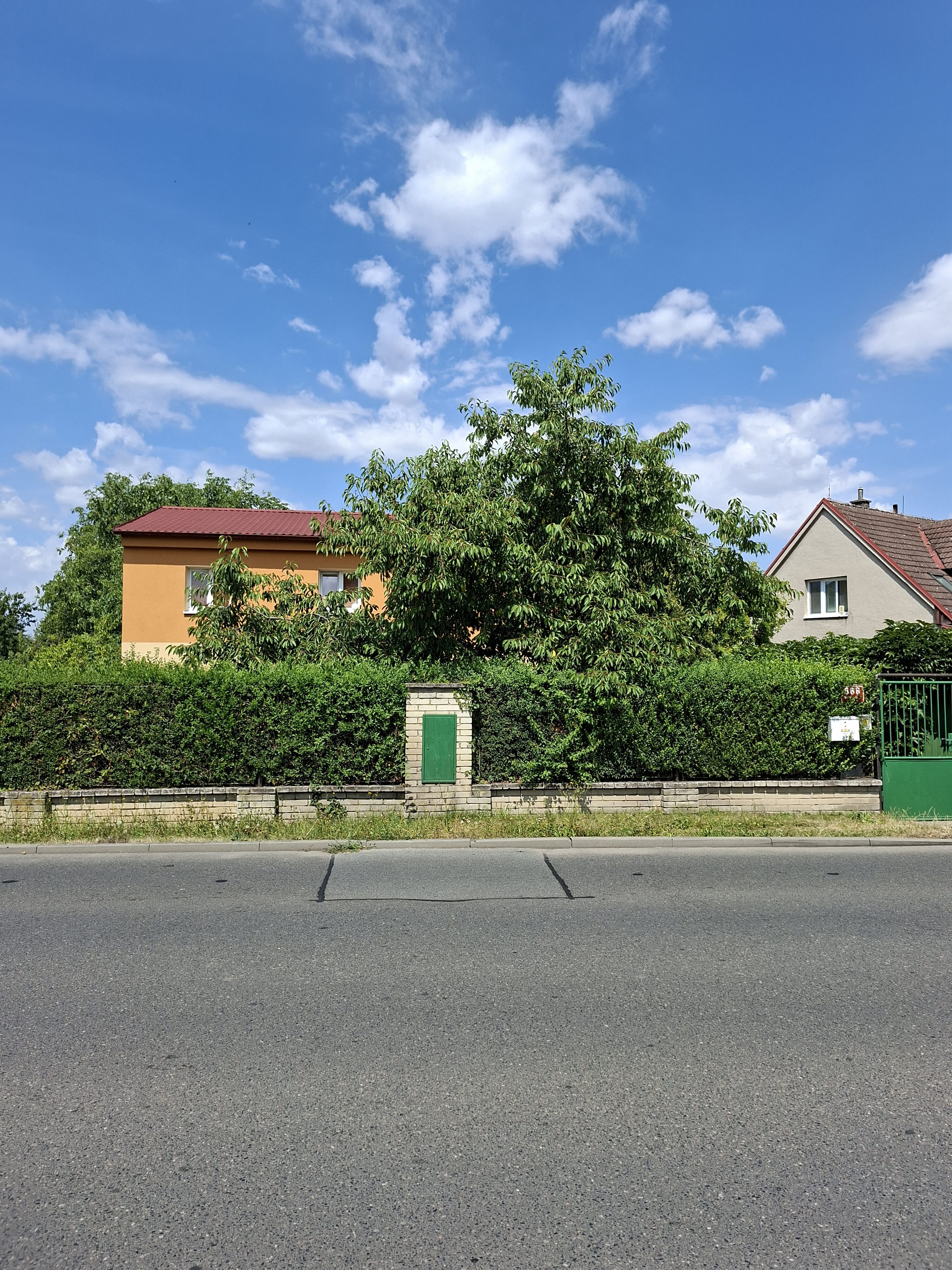 Galaxy_A56_fotka_10 Galaxy A56 fotka 10