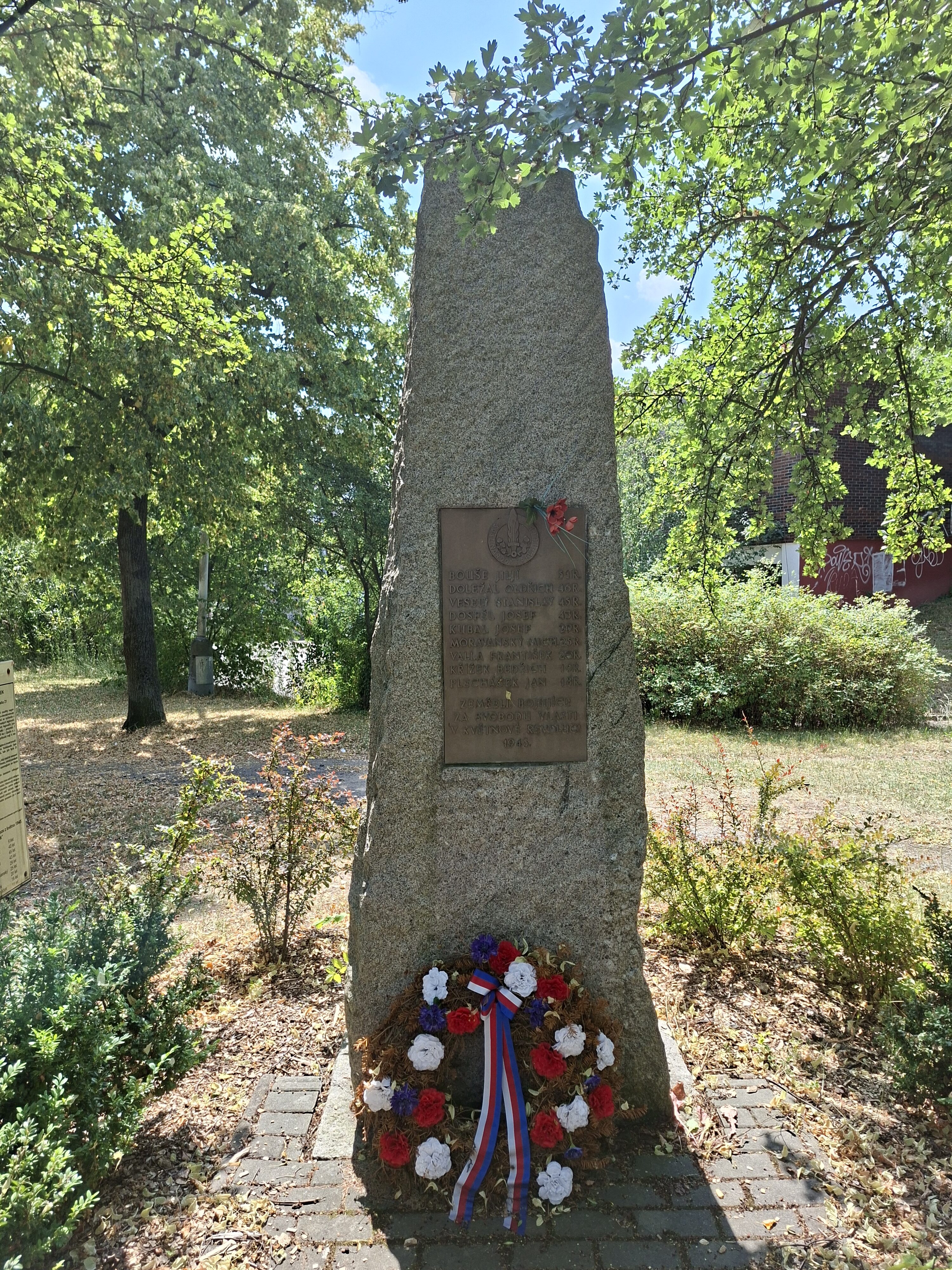 Galaxy_A56_fotka_11 Galaxy A56 fotka 11