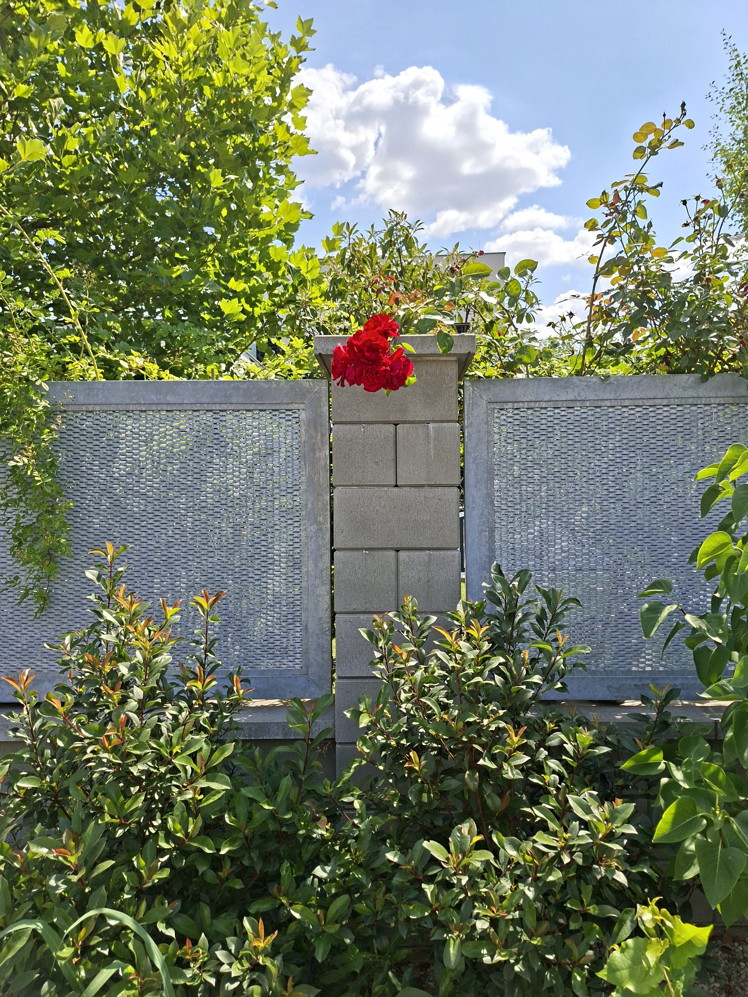 Galaxy_A56_fotka_13 Galaxy A56 fotka 13