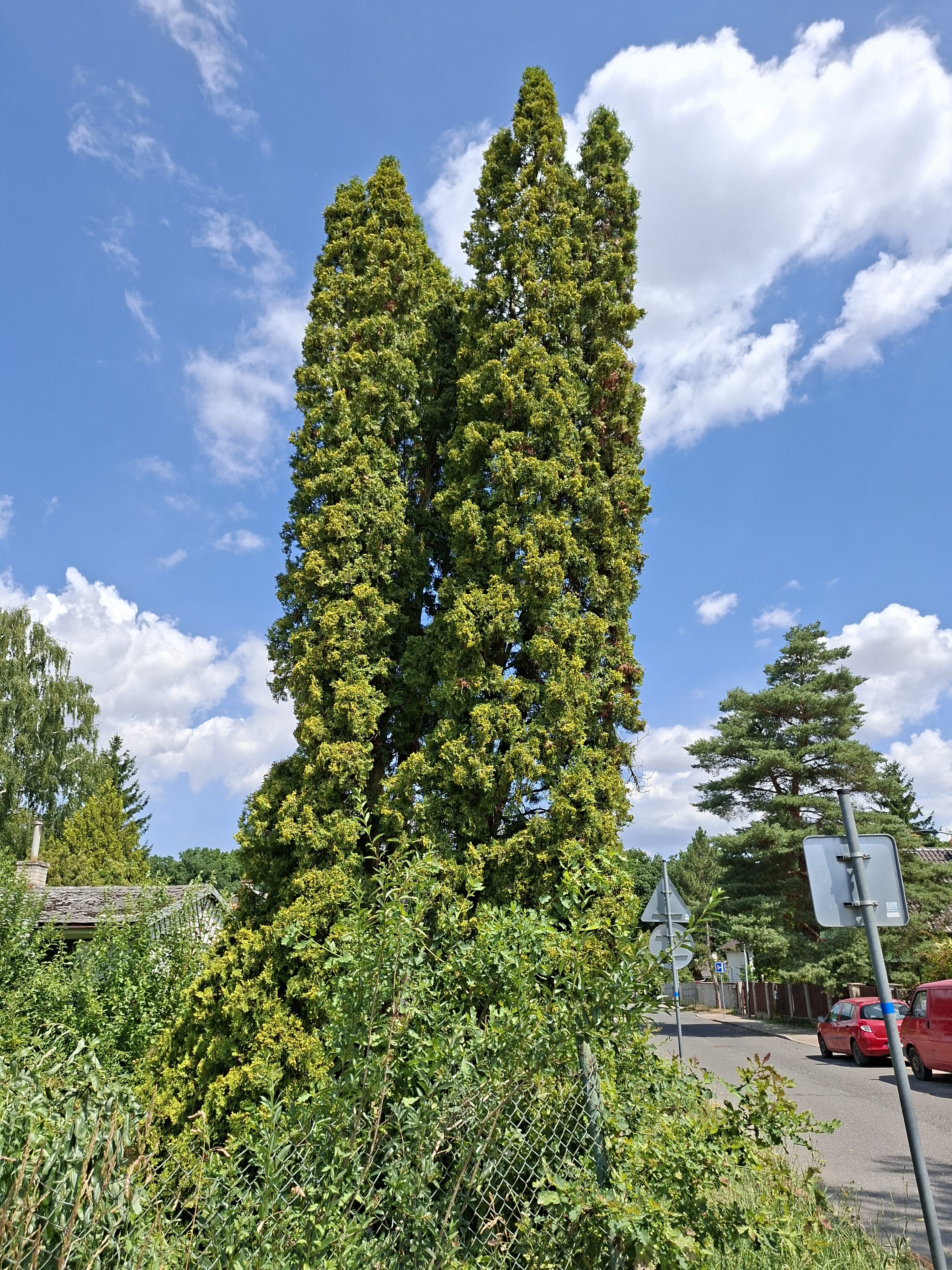 Galaxy_A56_fotka_14 Galaxy A56 fotka 14