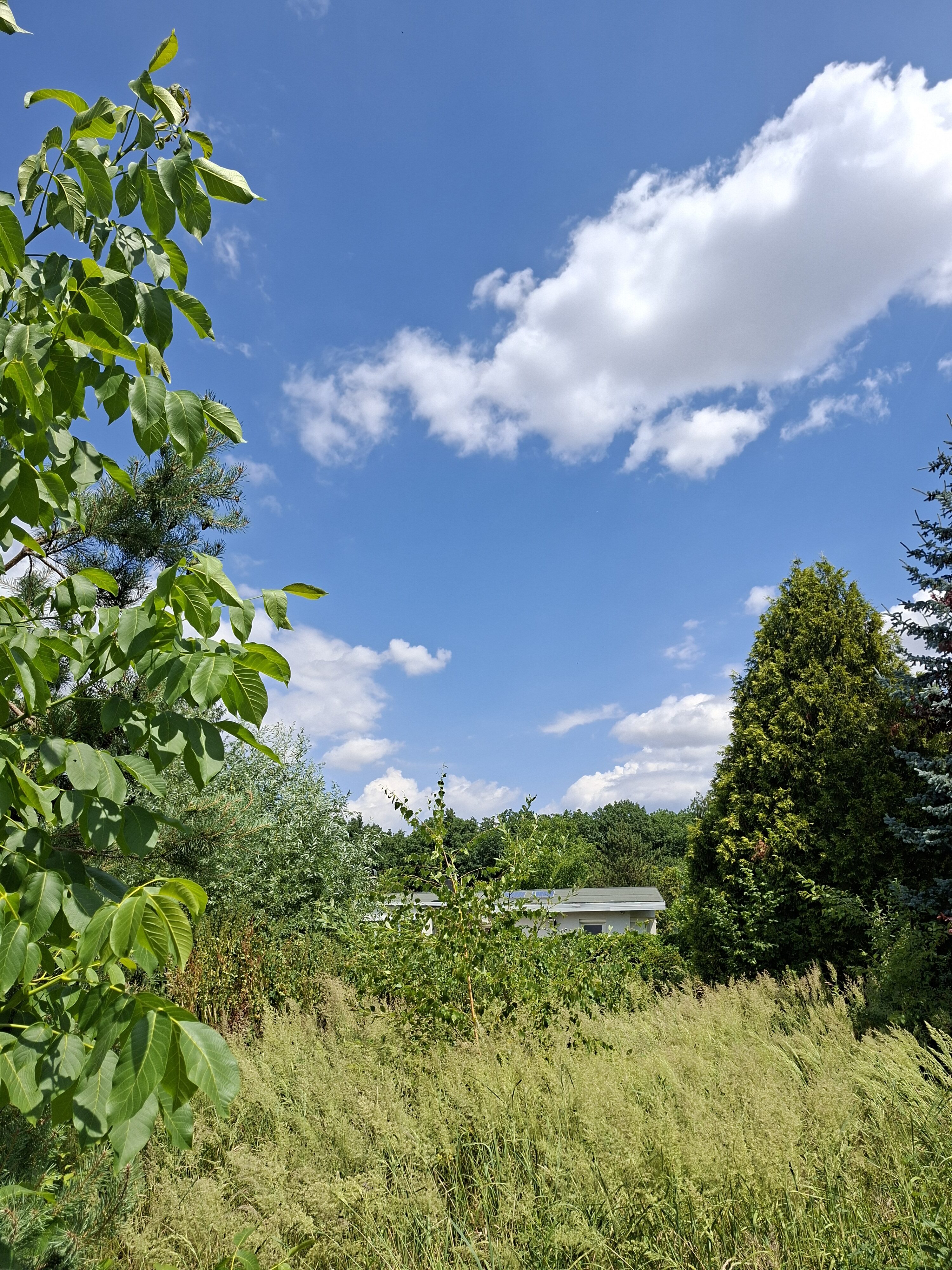 Galaxy_A56_fotka_15 Galaxy A56 fotka 15