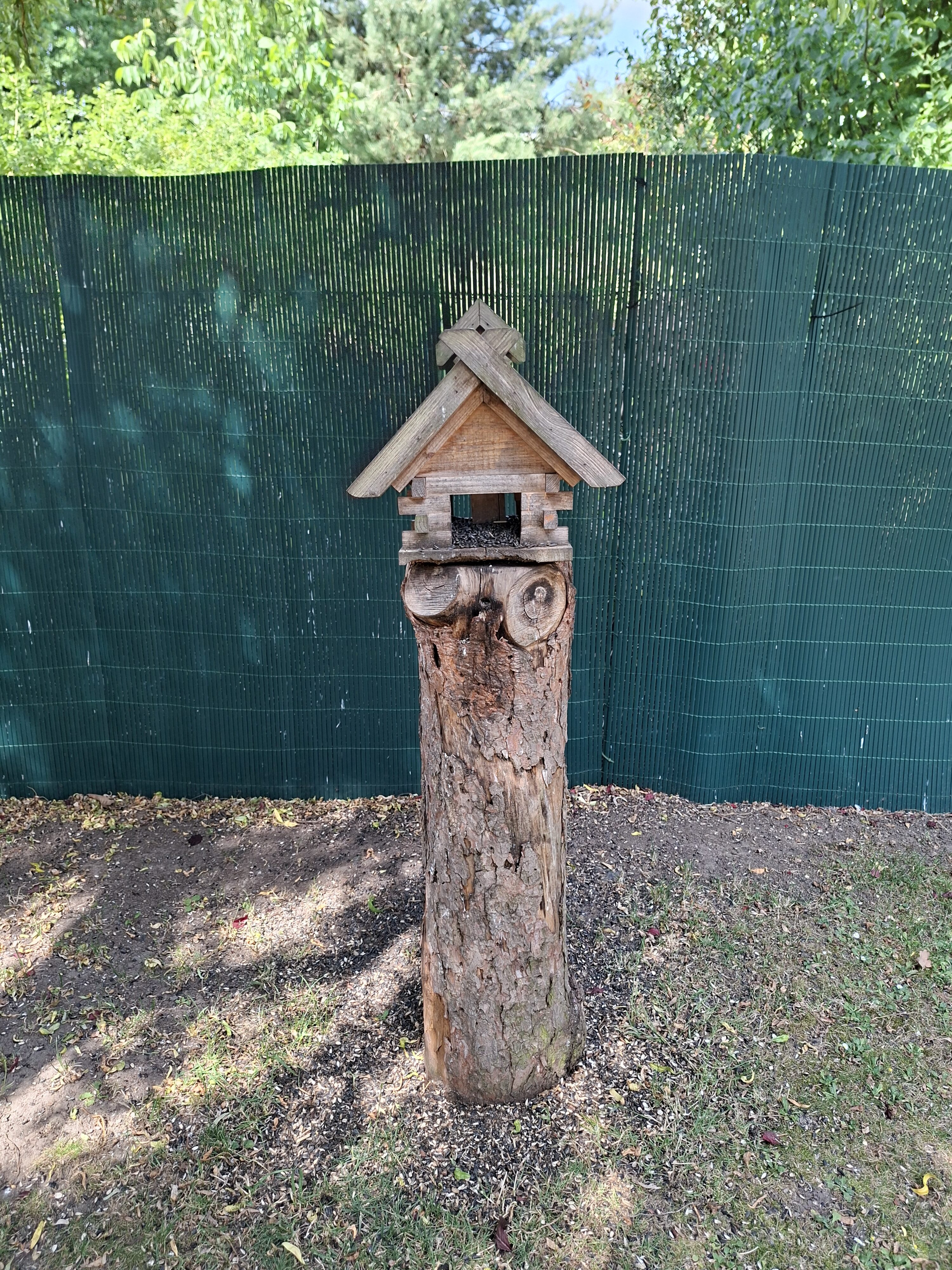 Galaxy_A56_fotka_17 Galaxy A56 fotka 17