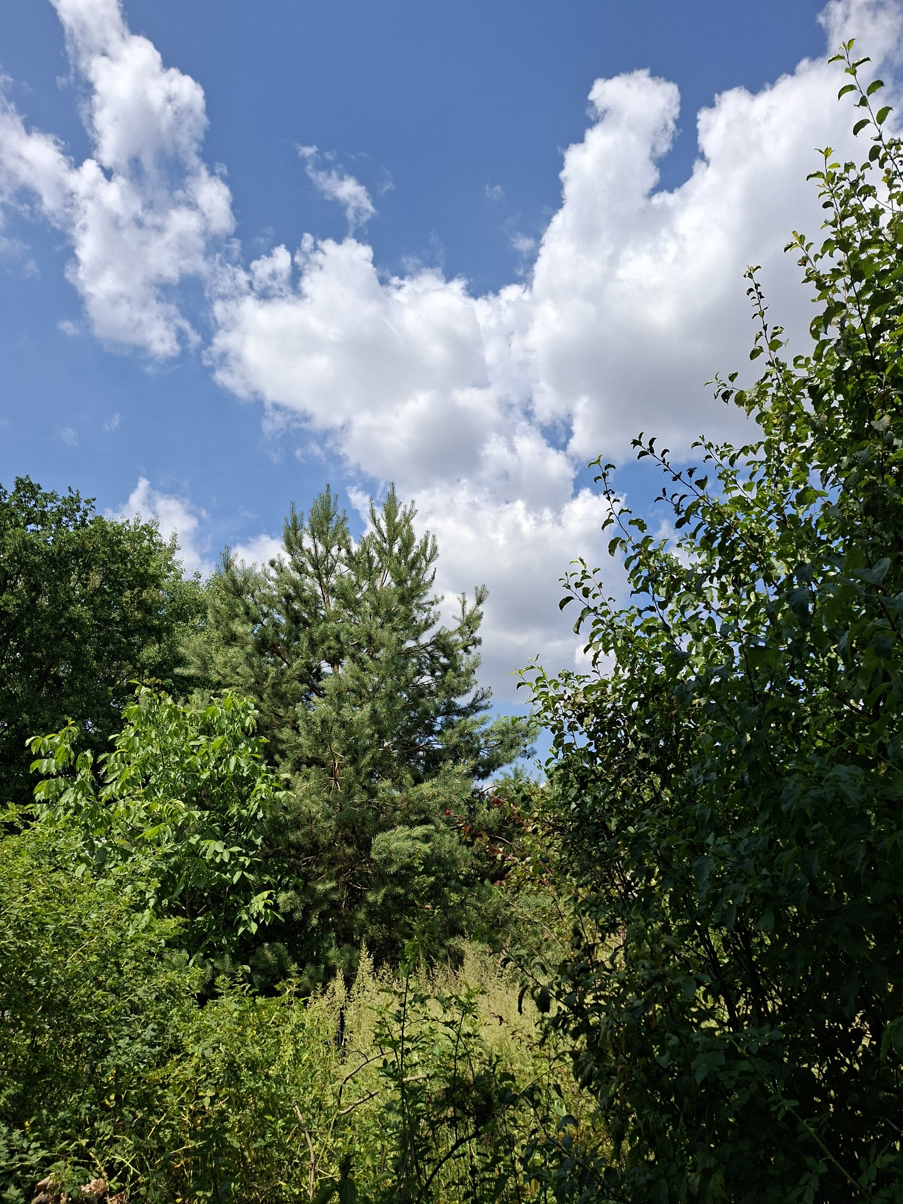 Galaxy_A56_fotka_18 Galaxy A56 fotka 18