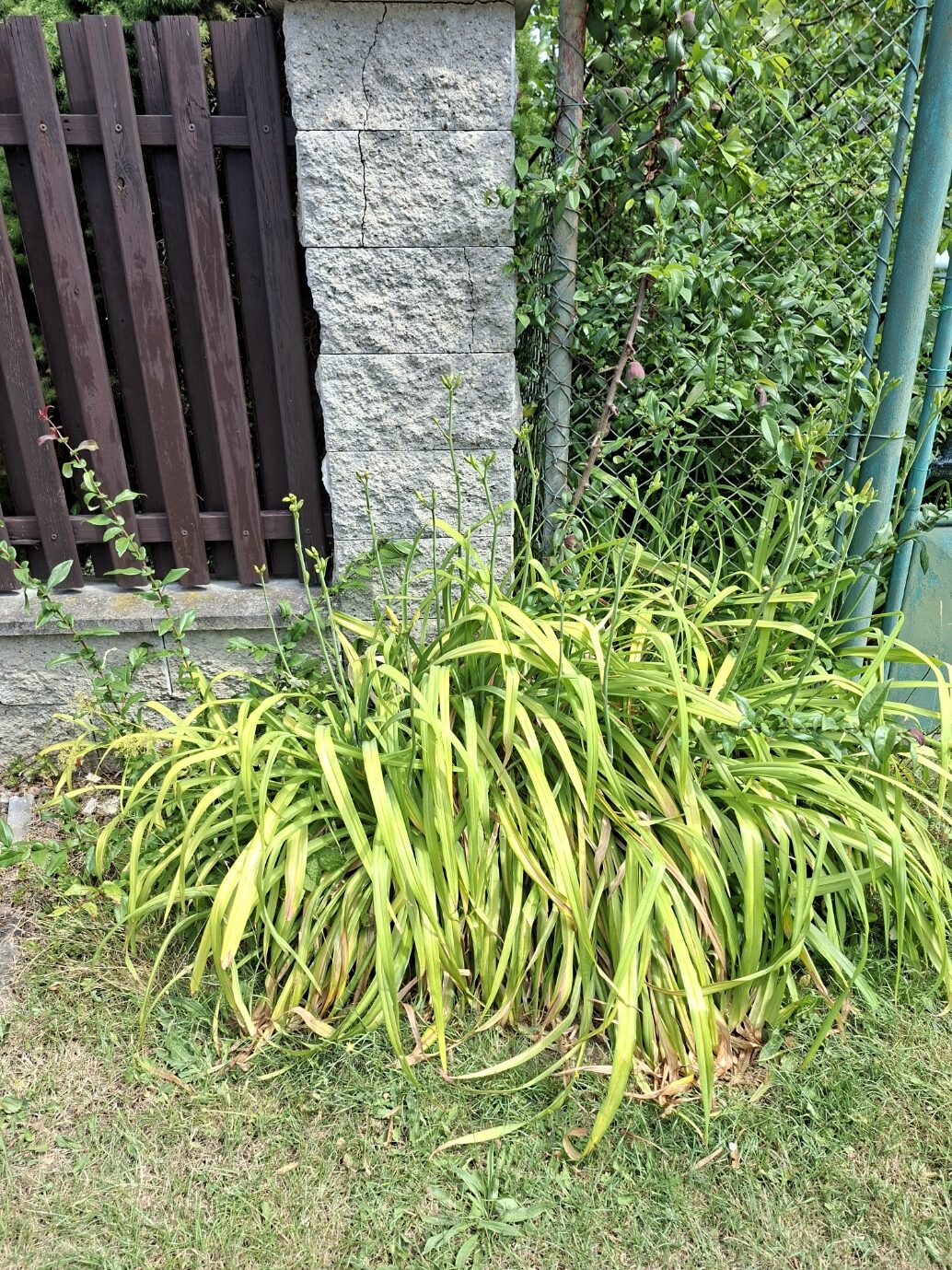 Galaxy_A56_fotka_2 Galaxy A56 fotka 2