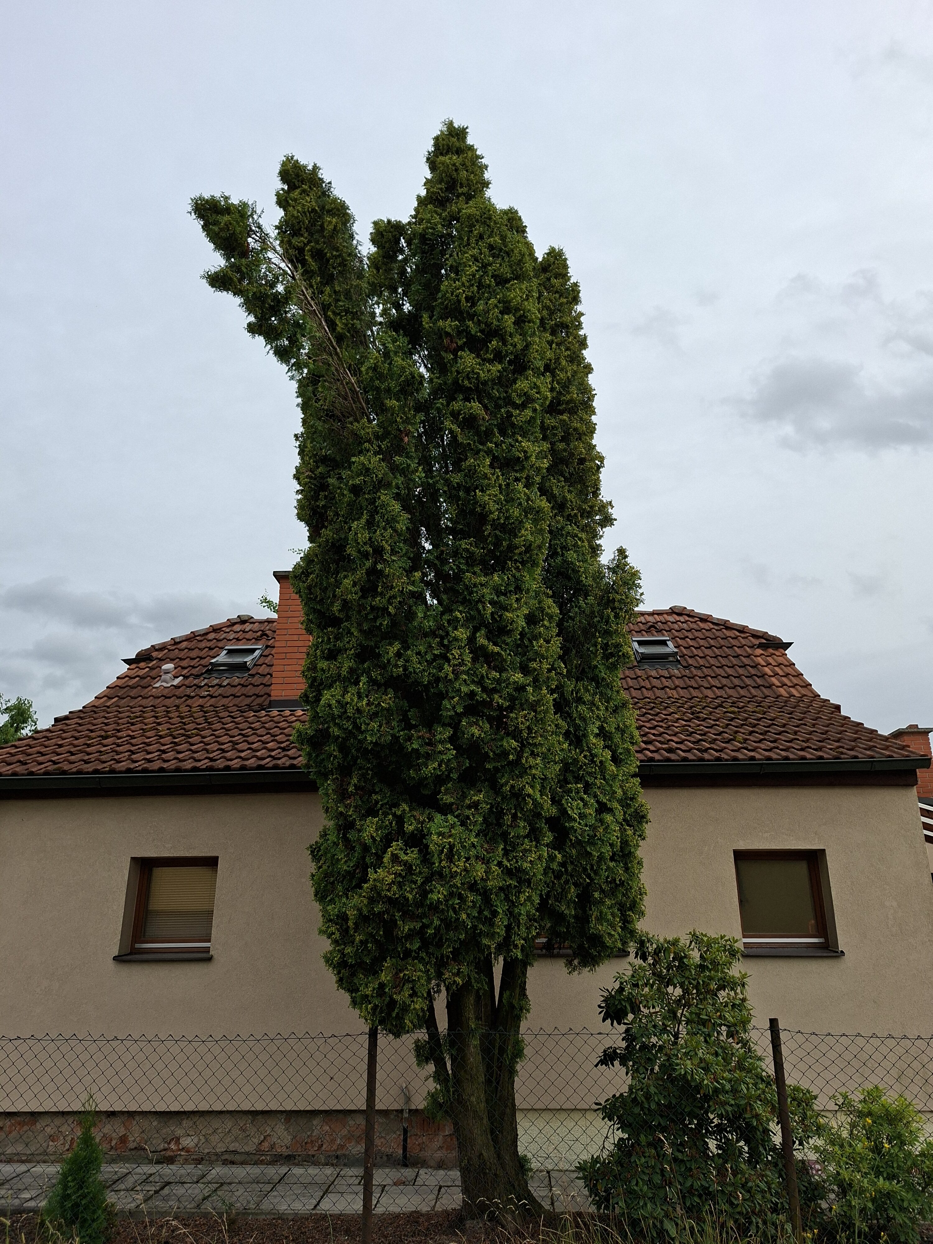 Galaxy_A56_fotka_21 Galaxy A56 fotka 21