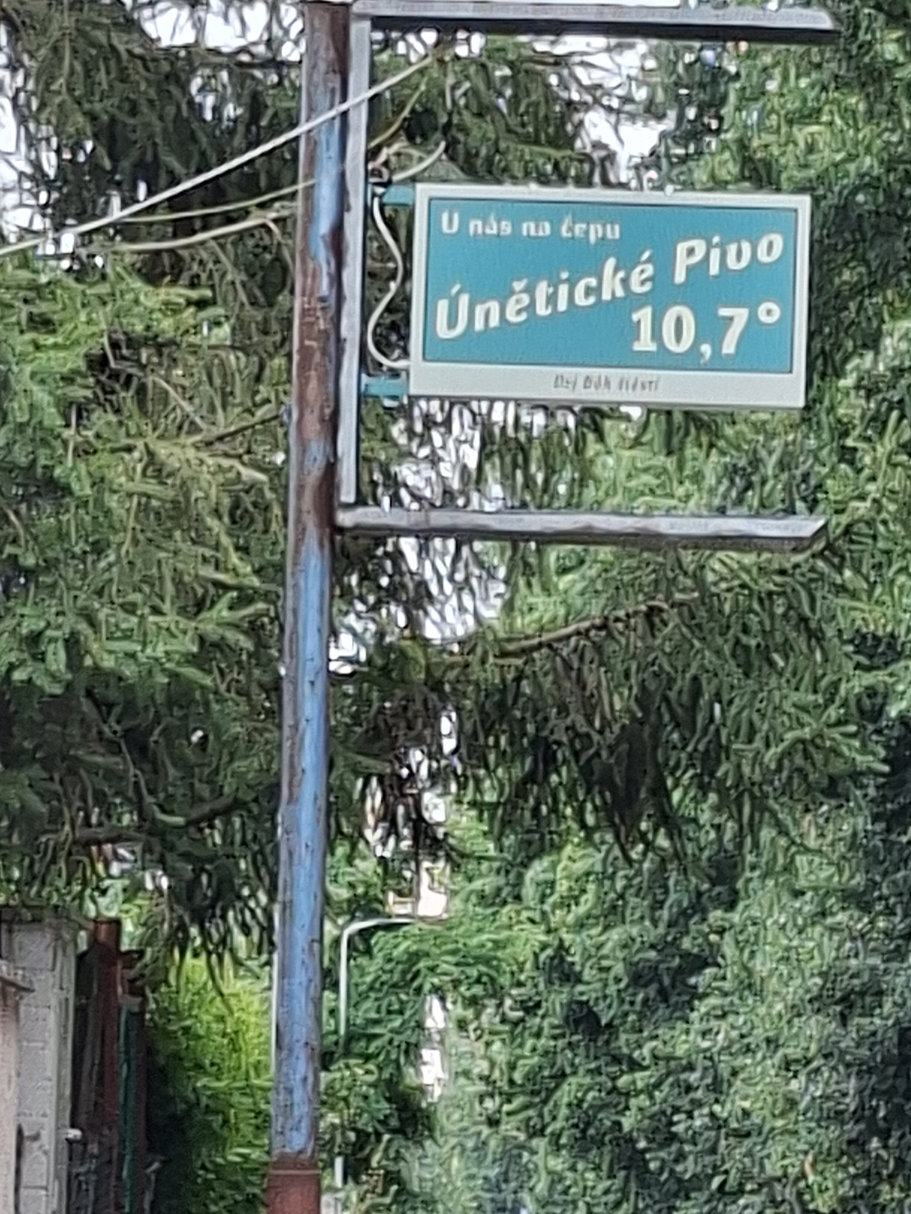 Galaxy_A56_fotka_32 Galaxy A56 fotka 32