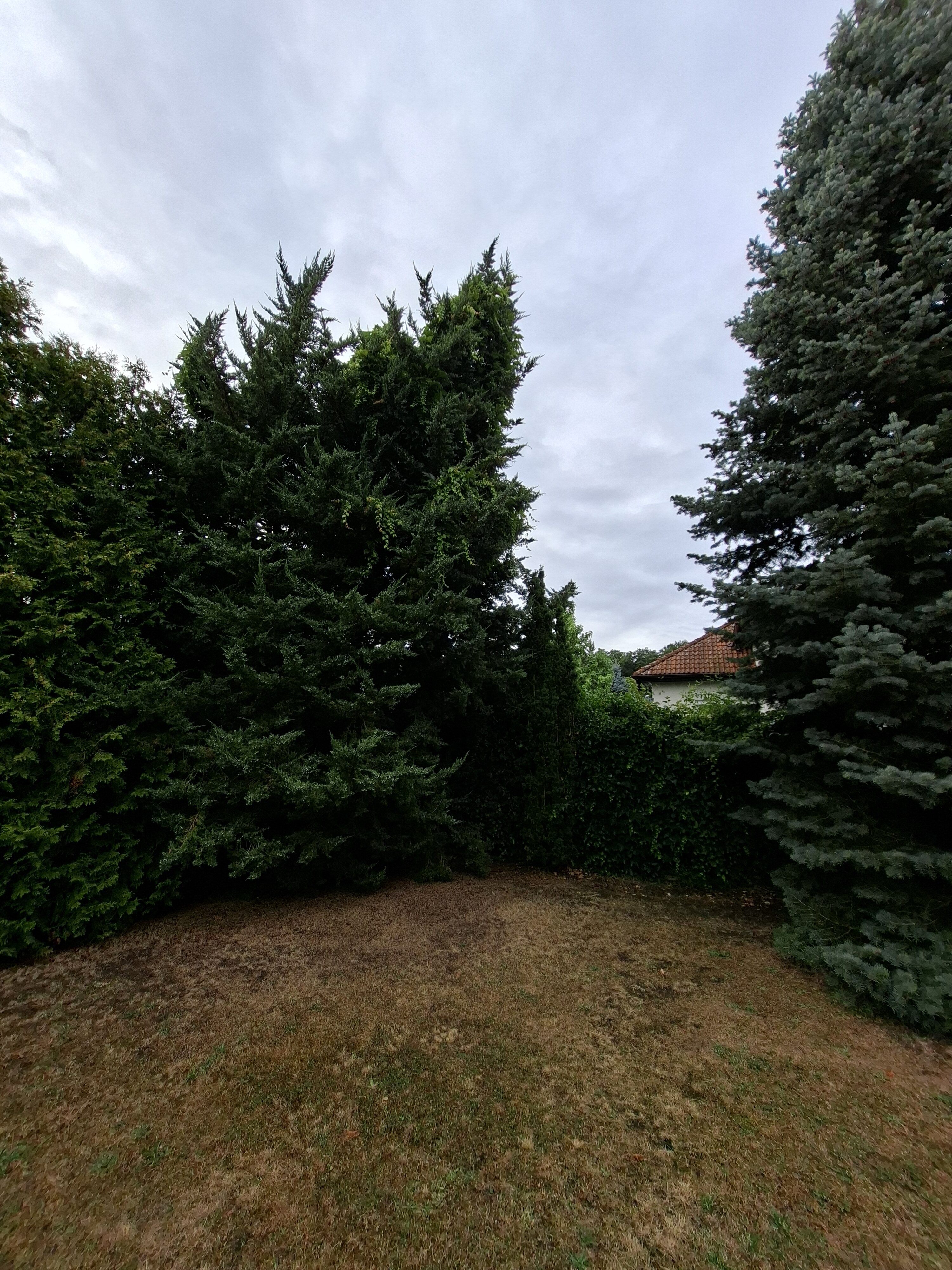 Galaxy_A56_fotka_36 Galaxy A56 fotka 36