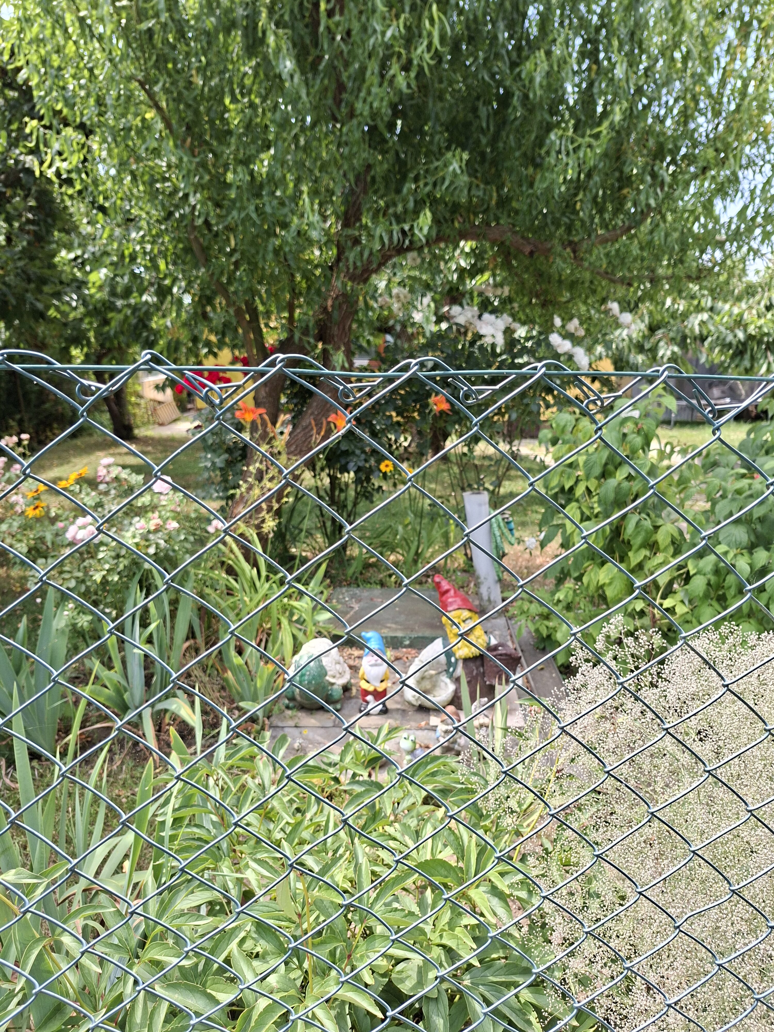 Galaxy_A56_fotka_4 Galaxy A56 fotka 4