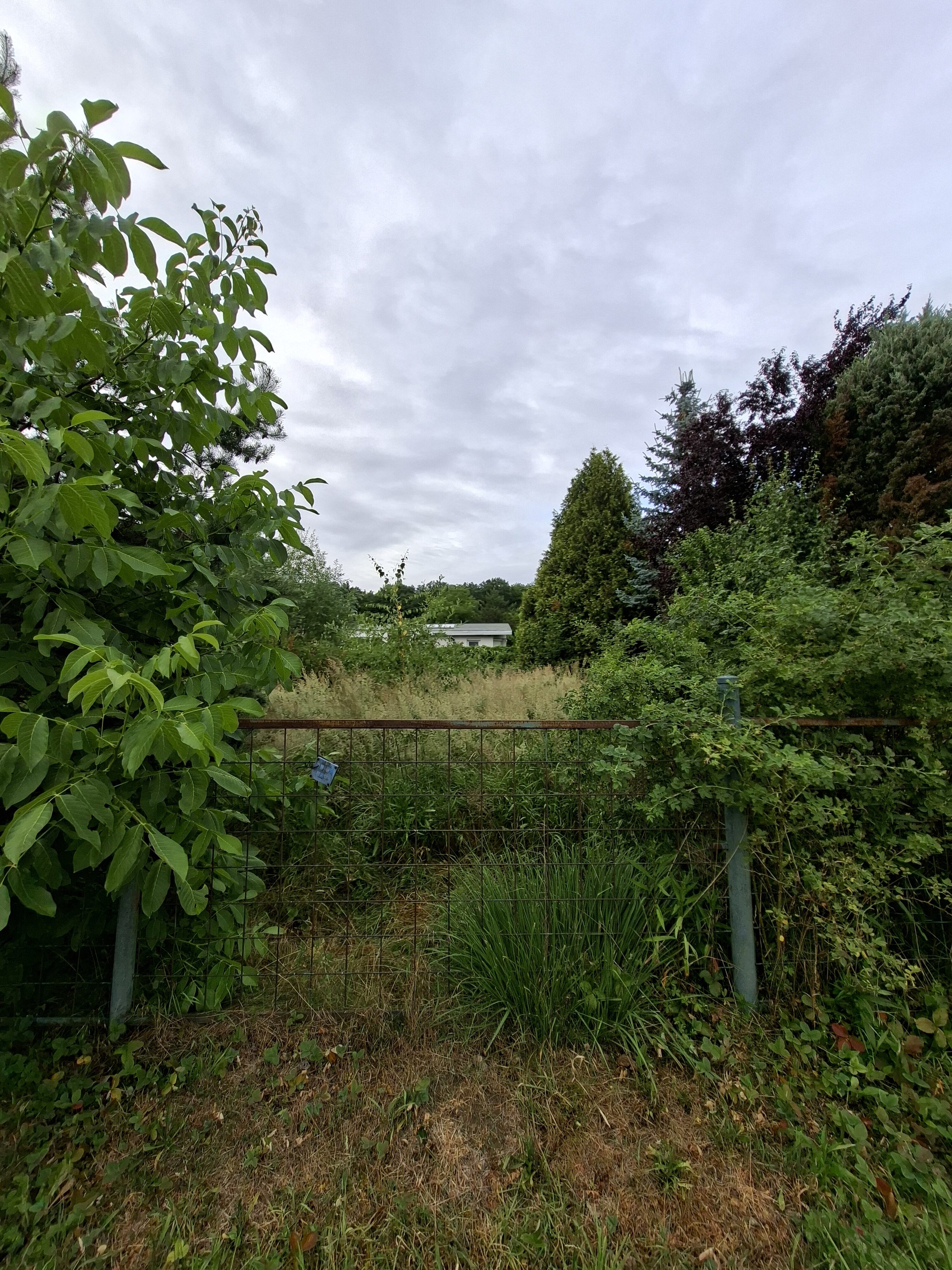 Galaxy_A56_fotka_43 Galaxy A56 fotka 43