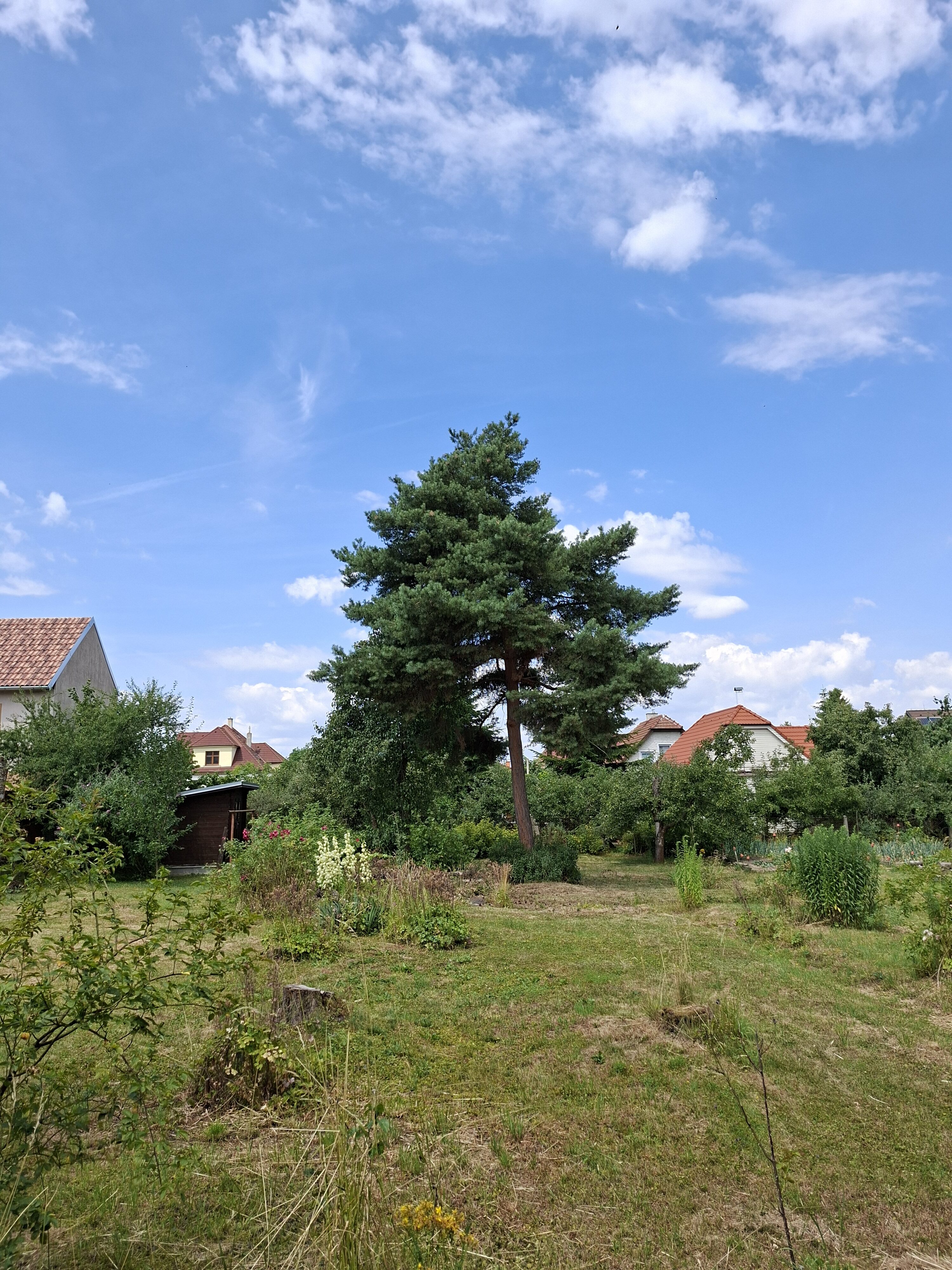 Galaxy_A56_fotka_9 Galaxy A56 fotka 9