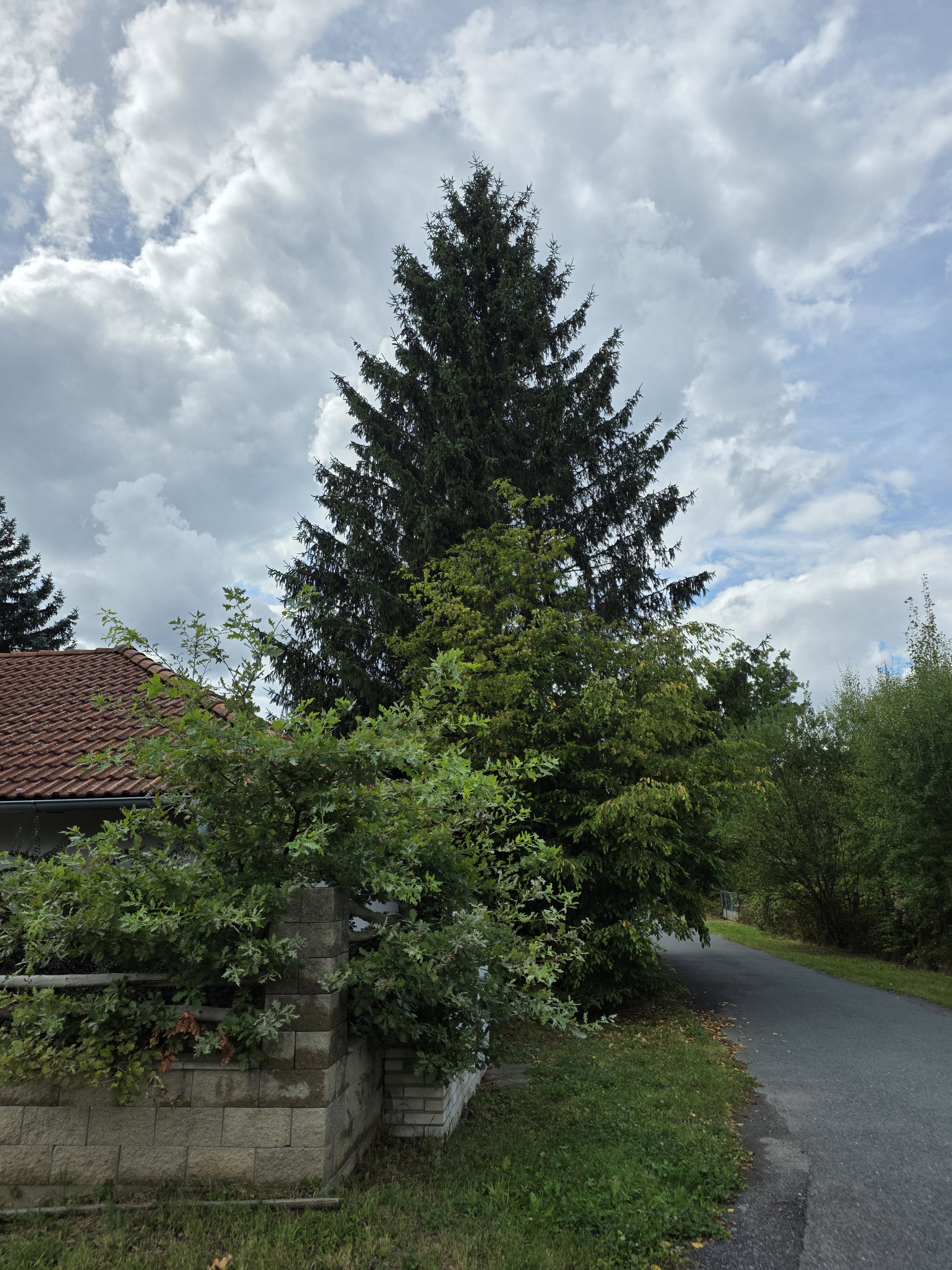 Galaxy Z Fold7 fotky den 10