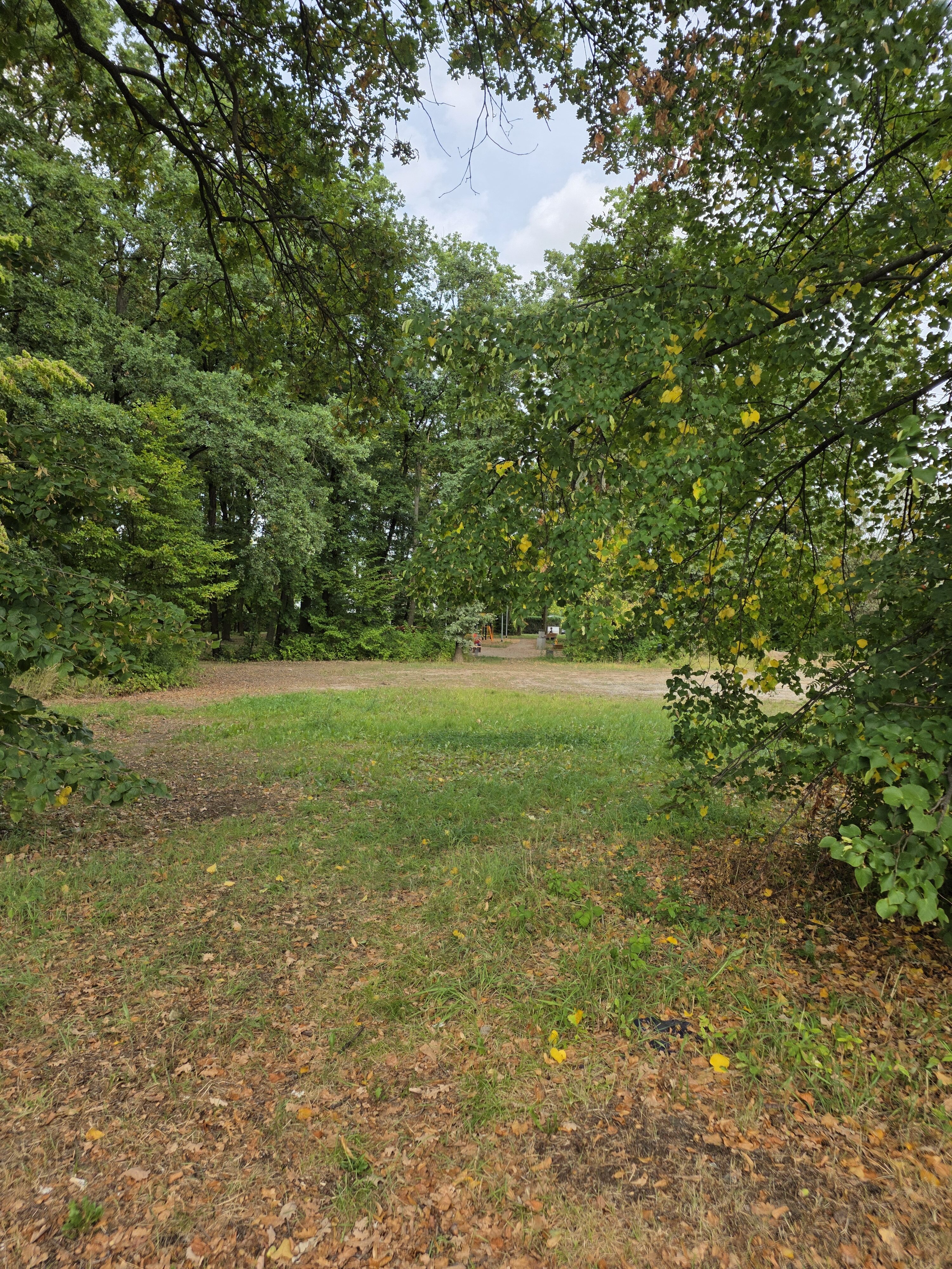 Galaxy Z Fold7 fotky den 15