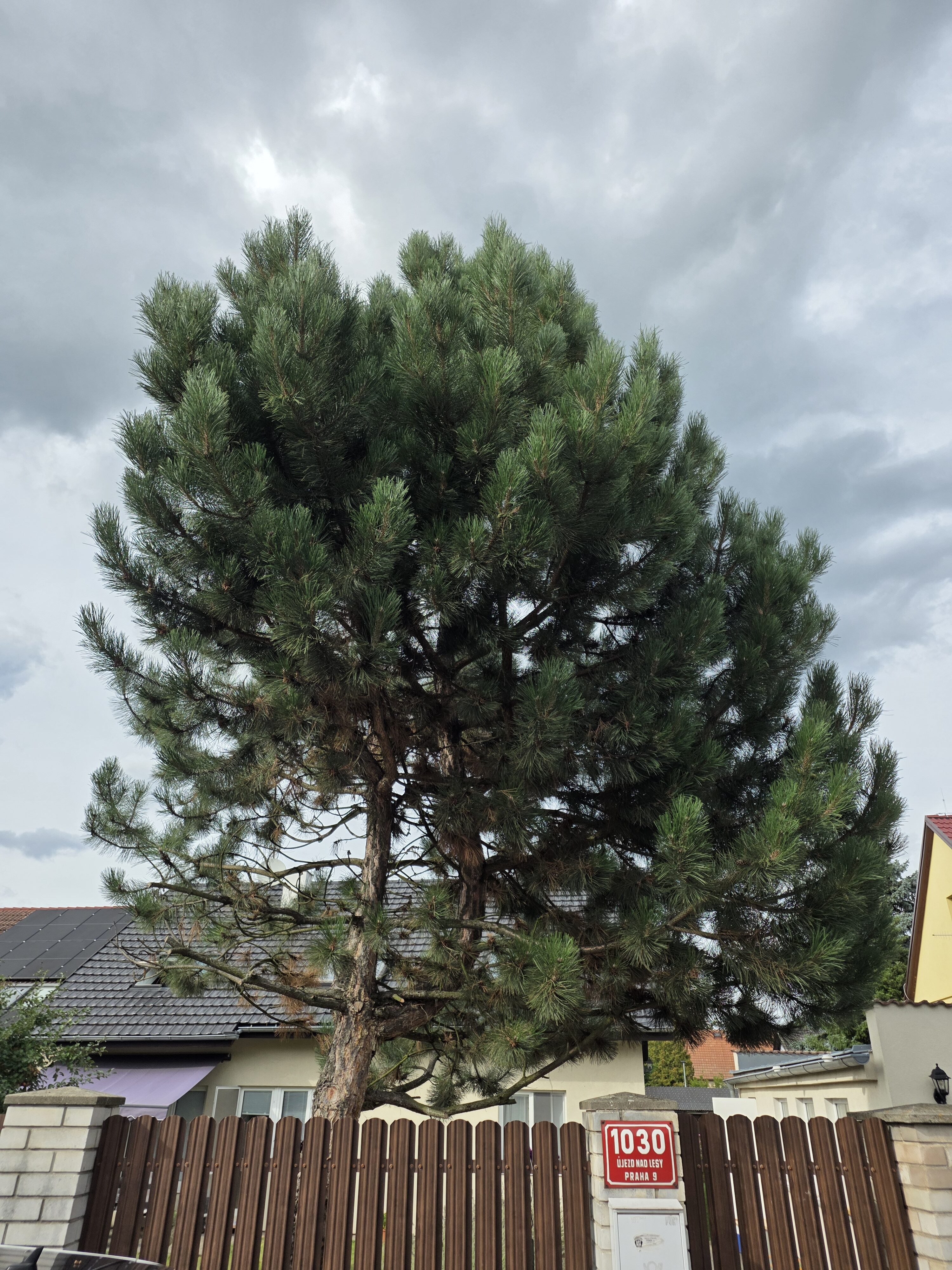 Galaxy Z Fold7 fotky den 18