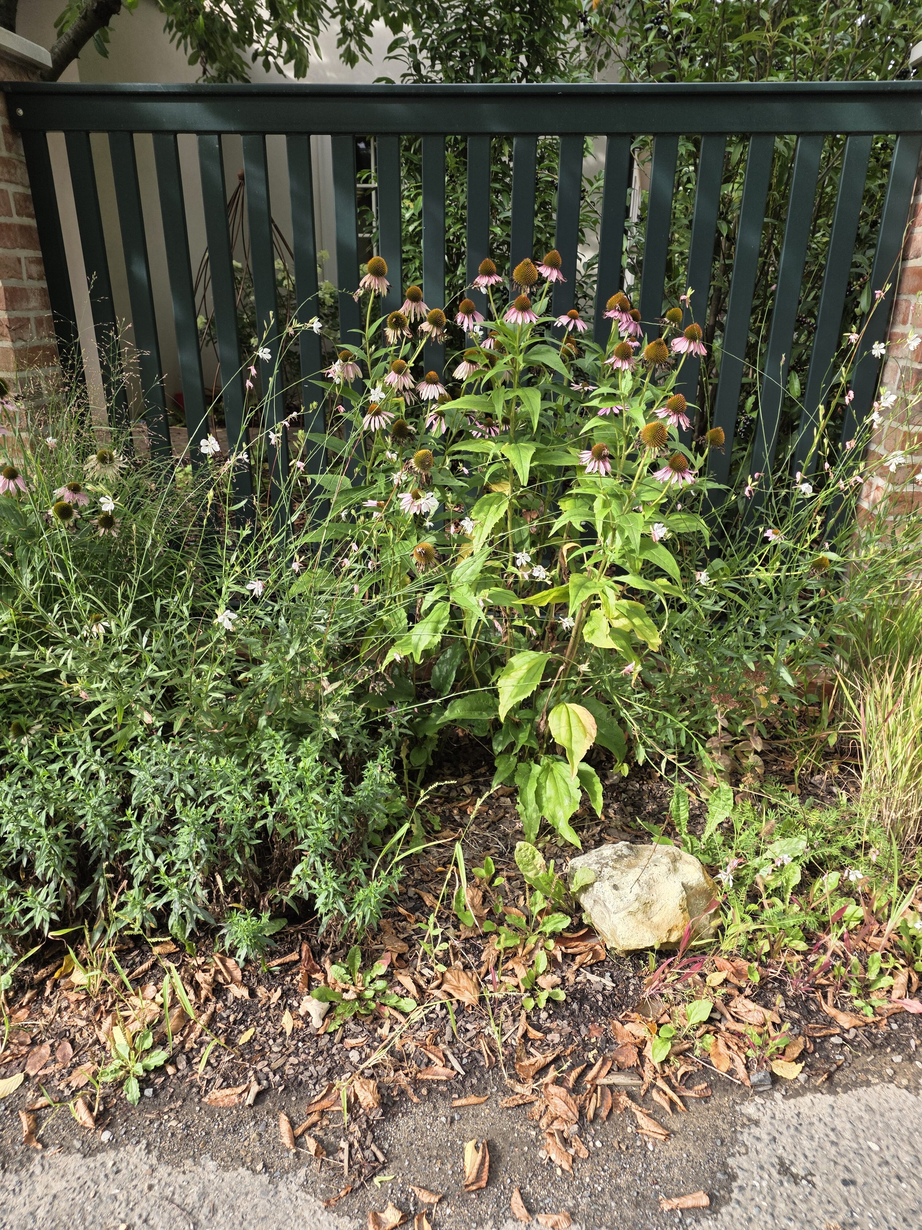 Galaxy Z Fold7 fotky den 20