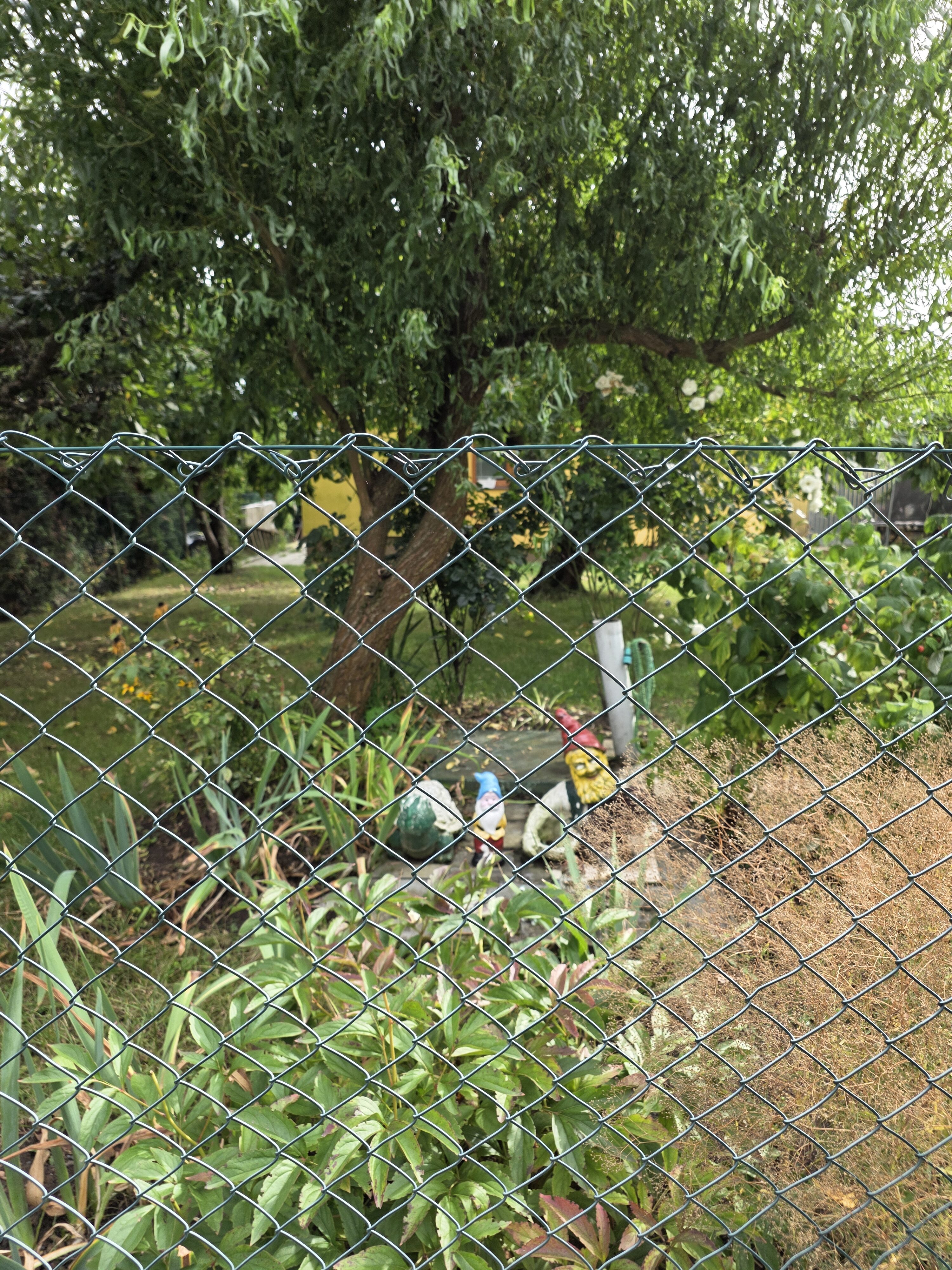 Galaxy Z Fold7 fotky den 22