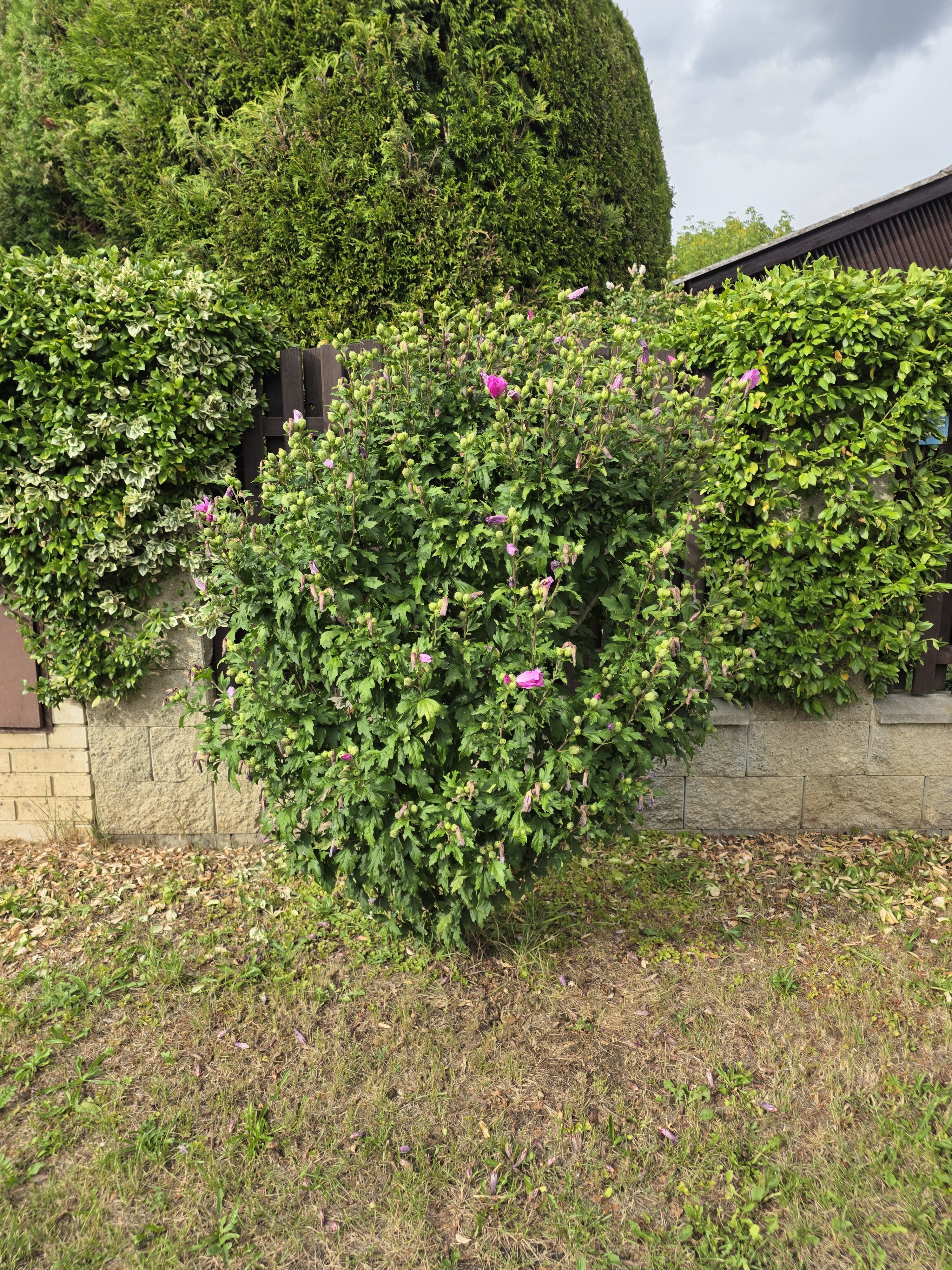 Galaxy Z Fold7 fotky den 23