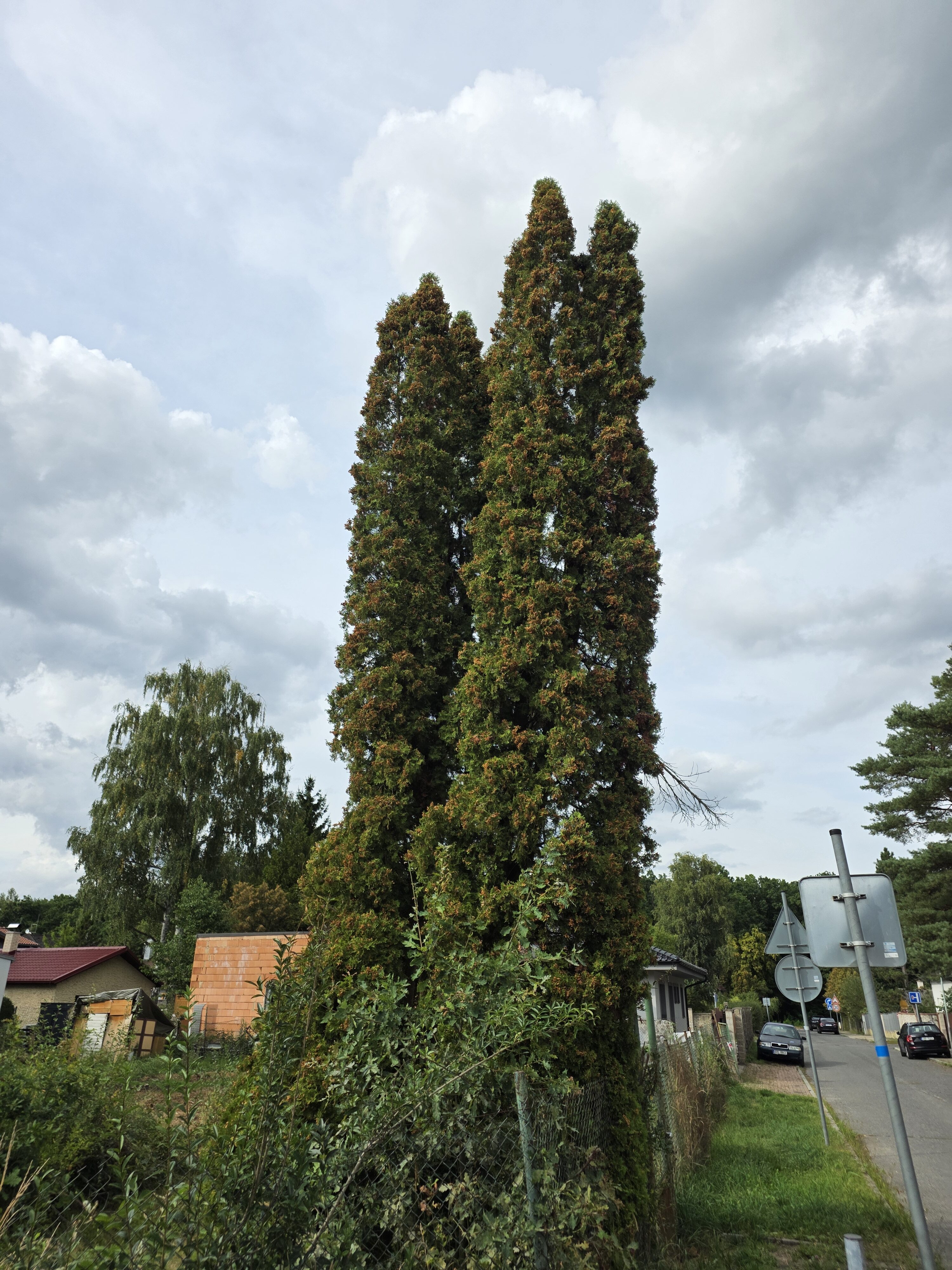 Galaxy Z Fold7 fotky den 25