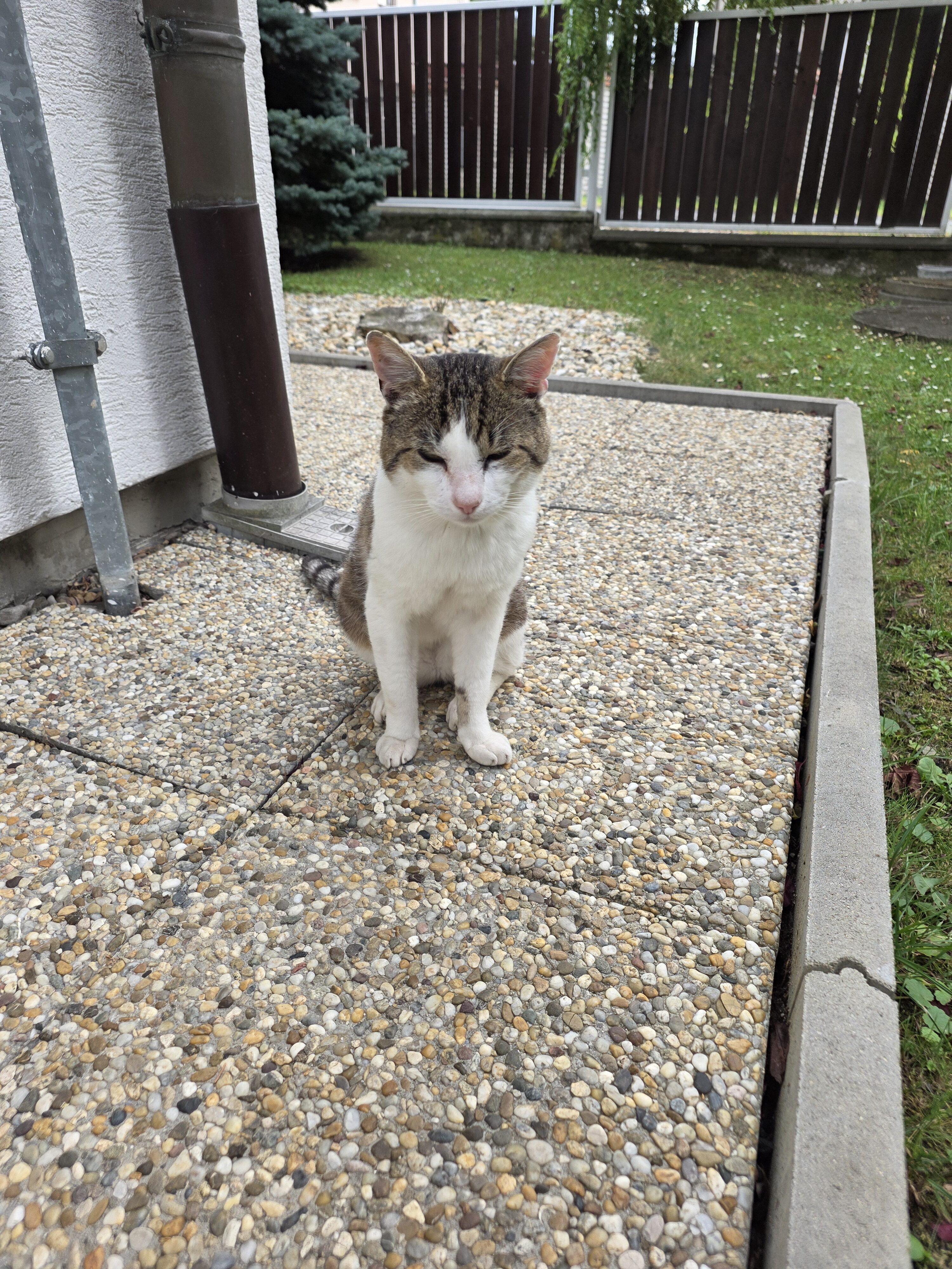 Galaxy Z Fold7 fotky den 27