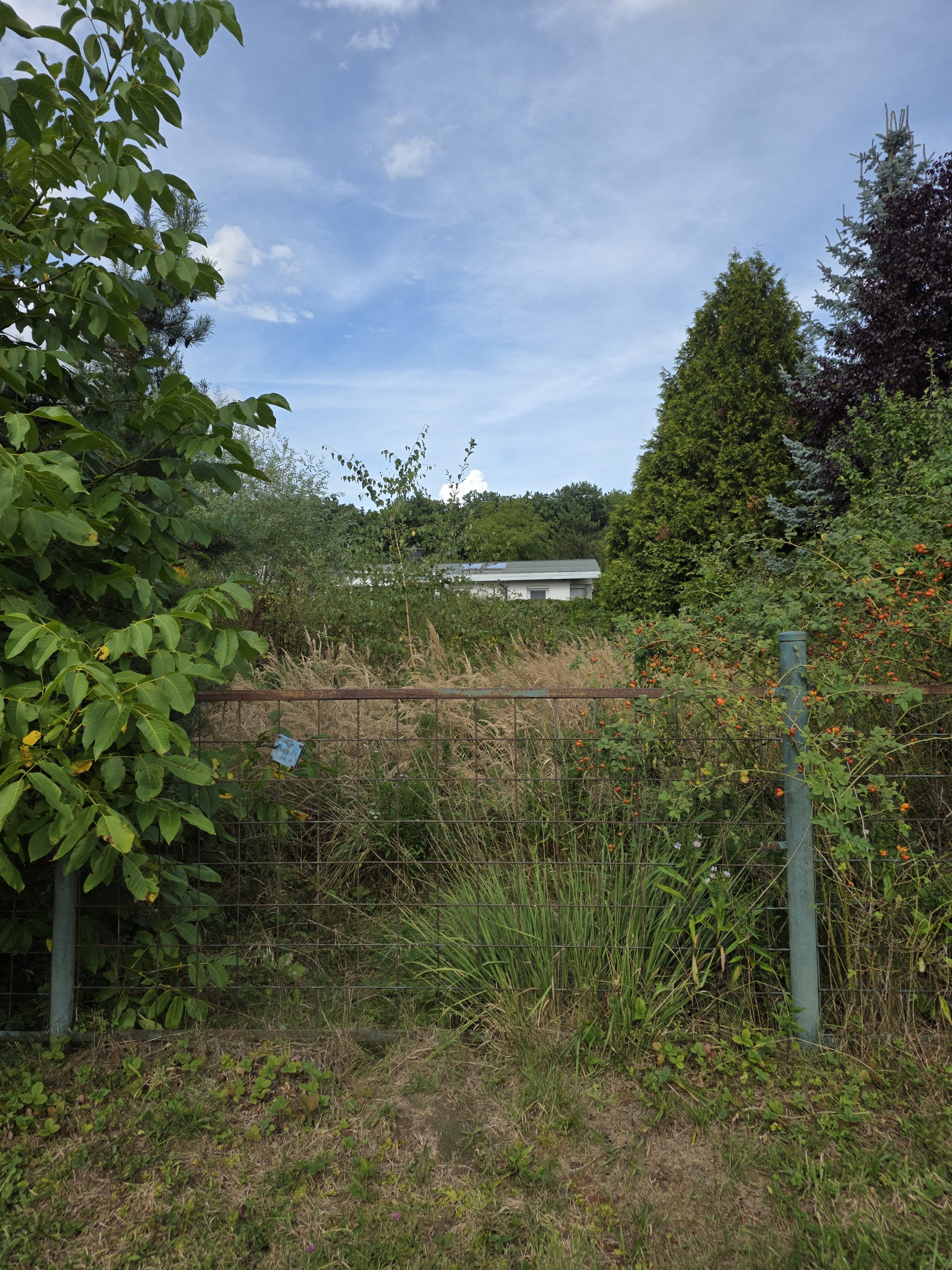 Galaxy Z Fold7 fotky den 3