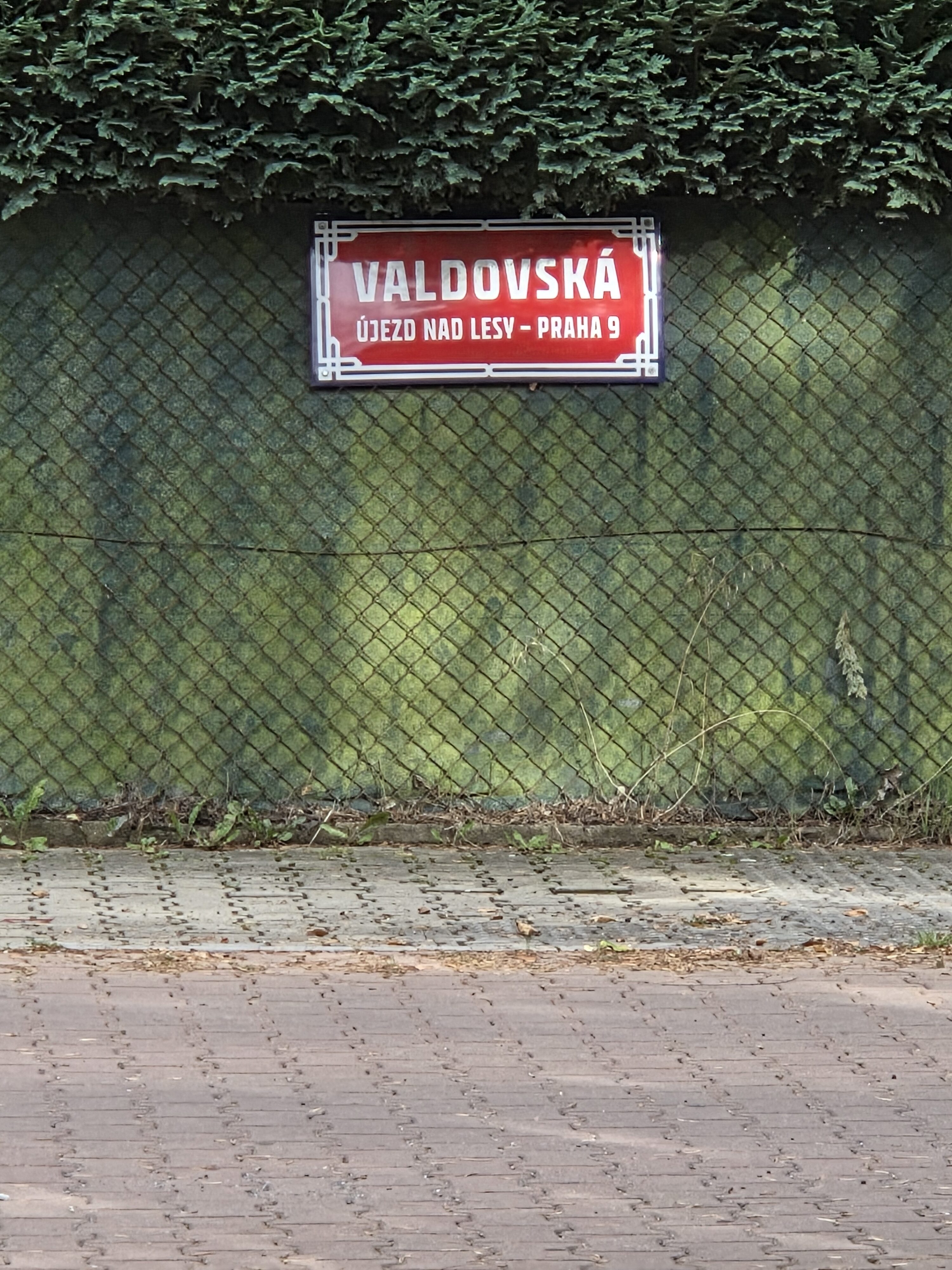 Galaxy Z Fold7 fotky den 31