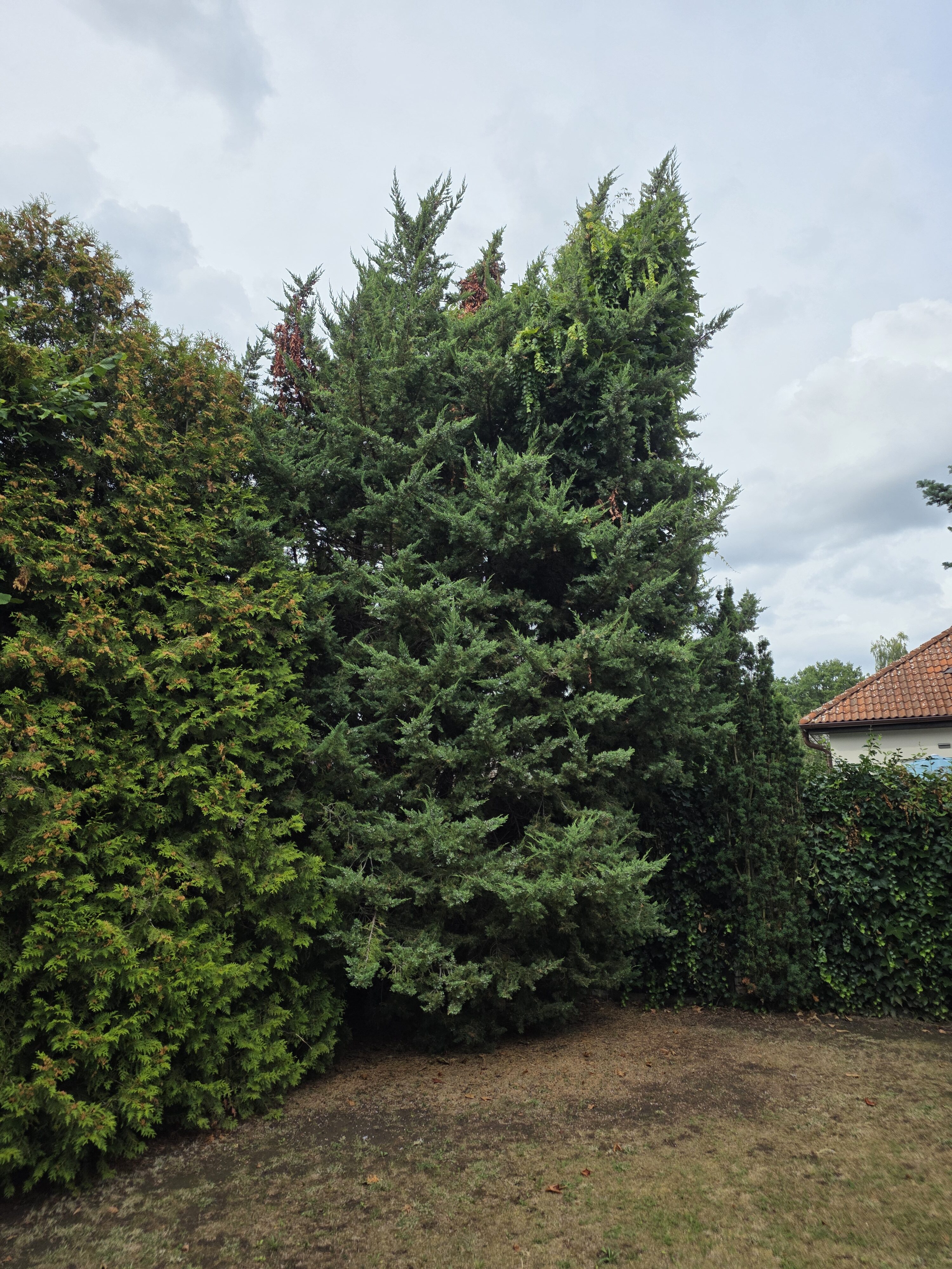 Galaxy Z Fold7 fotky den 41