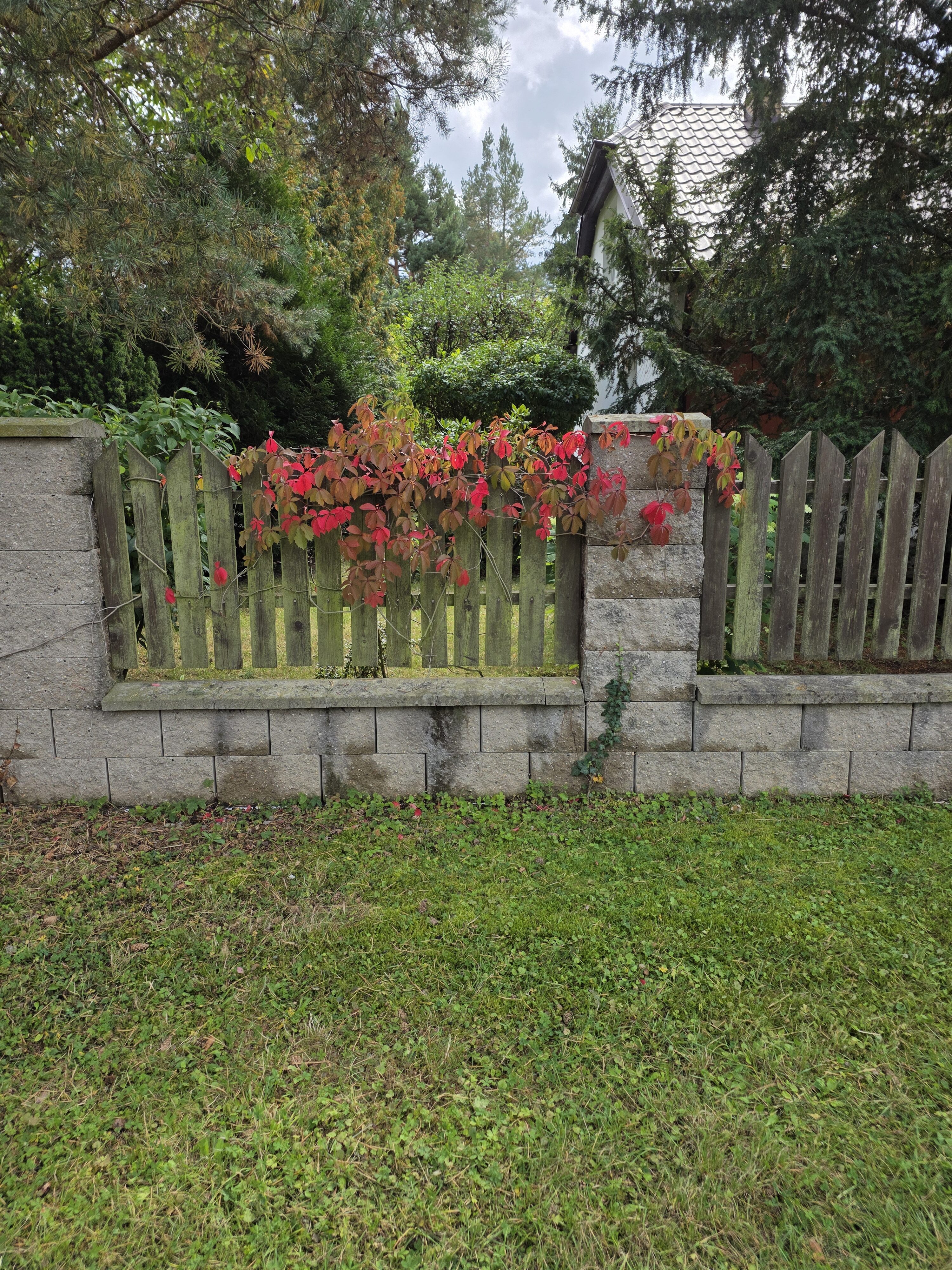 Galaxy Z Fold7 fotky den 6