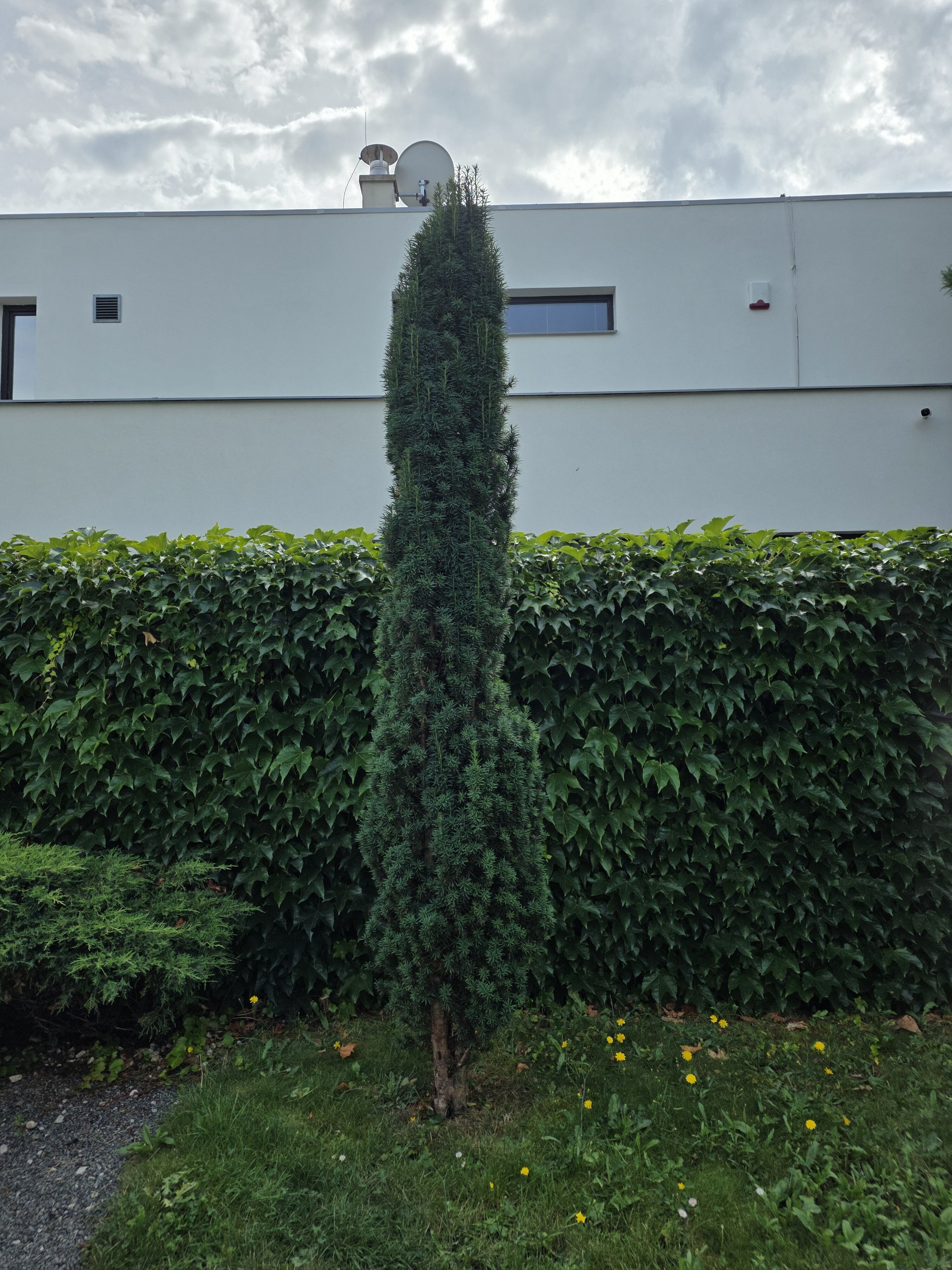 Galaxy Z Fold7 fotky den 7